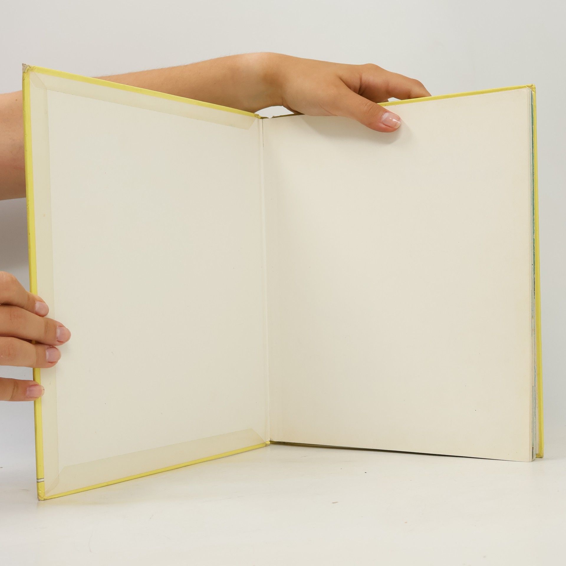 Carvel Hall Blair Tessloffs Jugendbibliothek in Farbe: Moderne Meereskunde