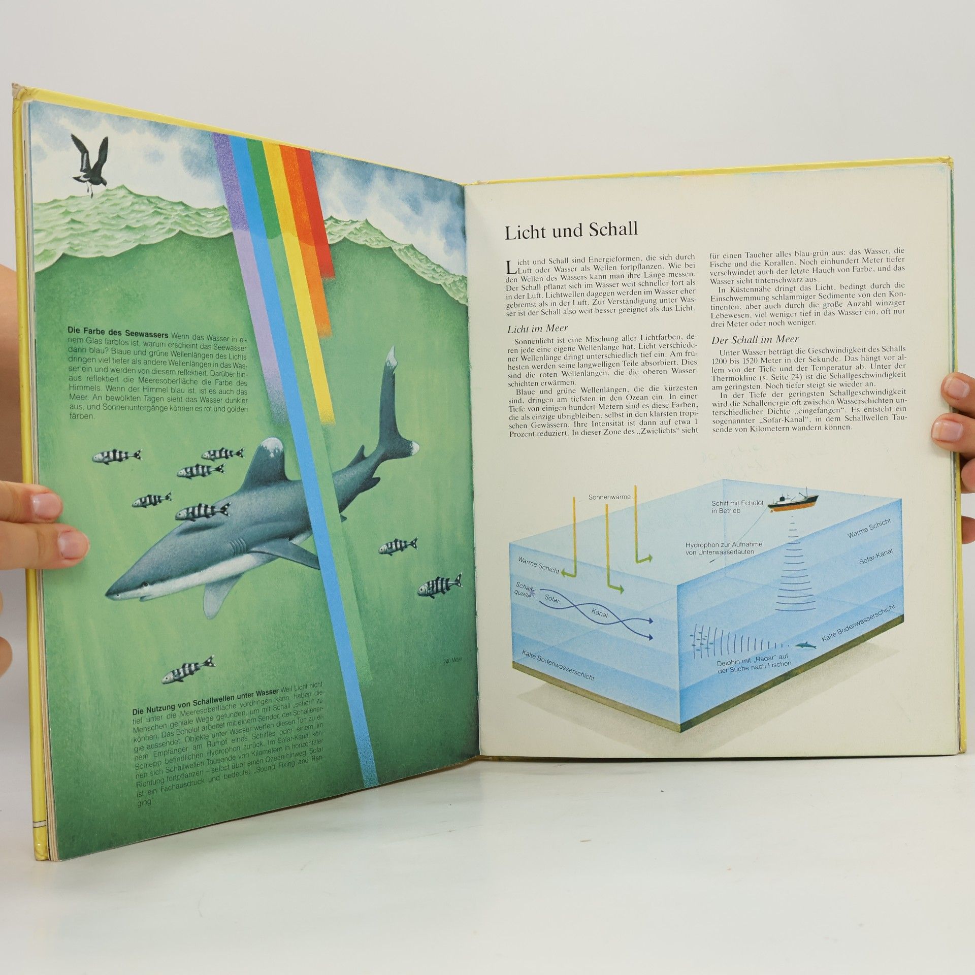 Carvel Hall Blair Tessloffs Jugendbibliothek in Farbe: Moderne Meereskunde