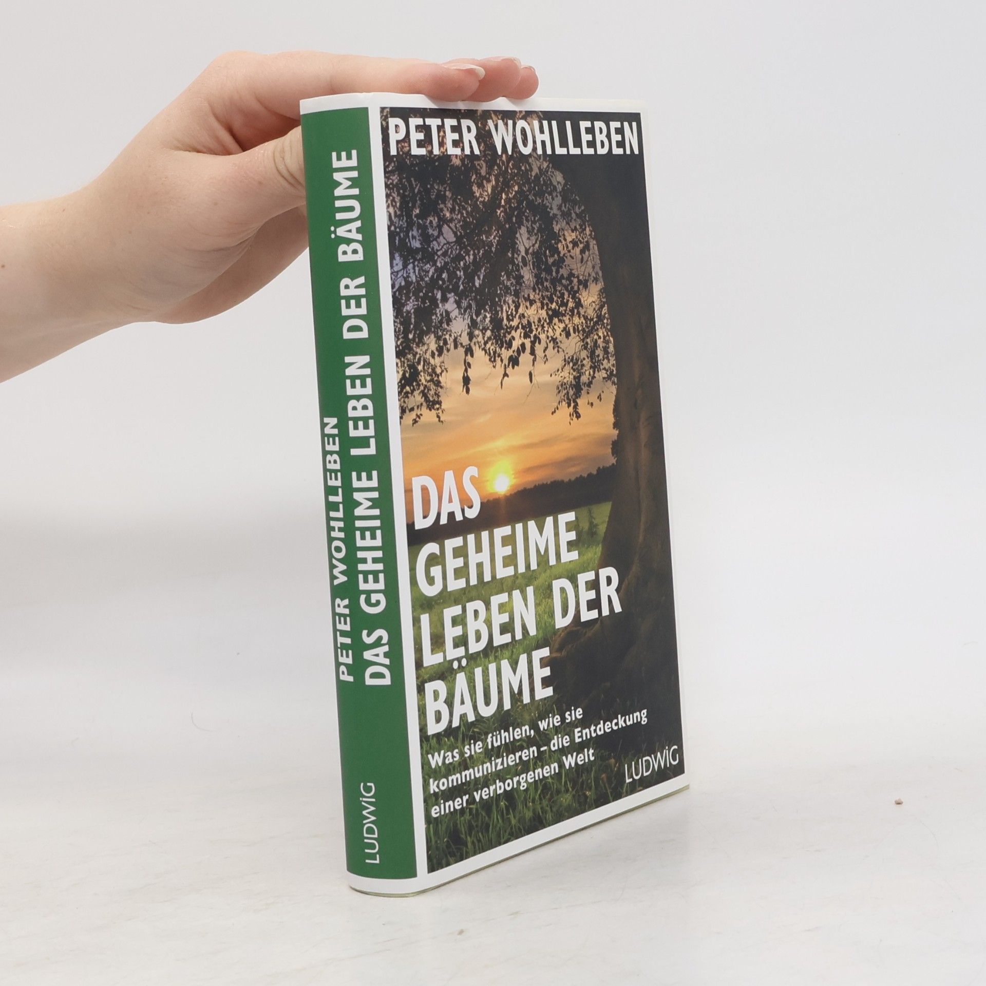 Peter Wohlleben Das geheime Leben der Bäume