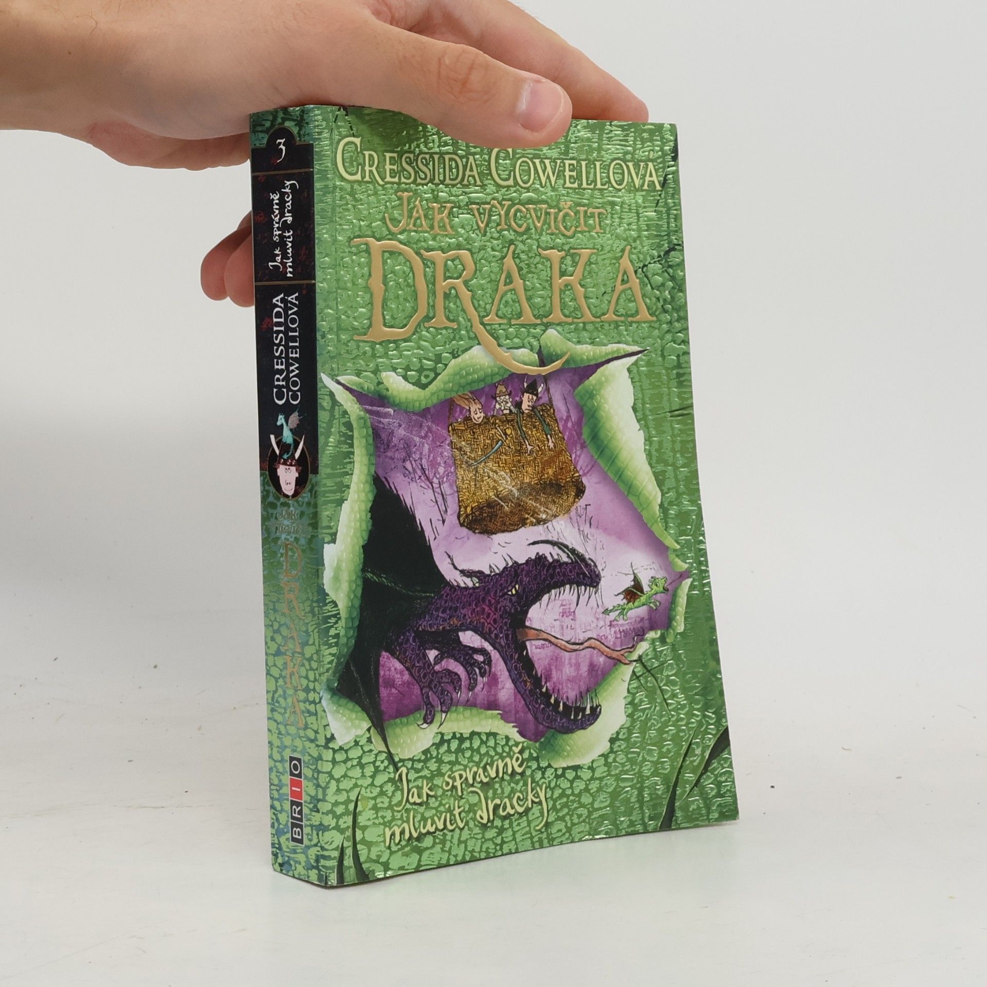 Cressida Cowell Jak správně mluvit dracky