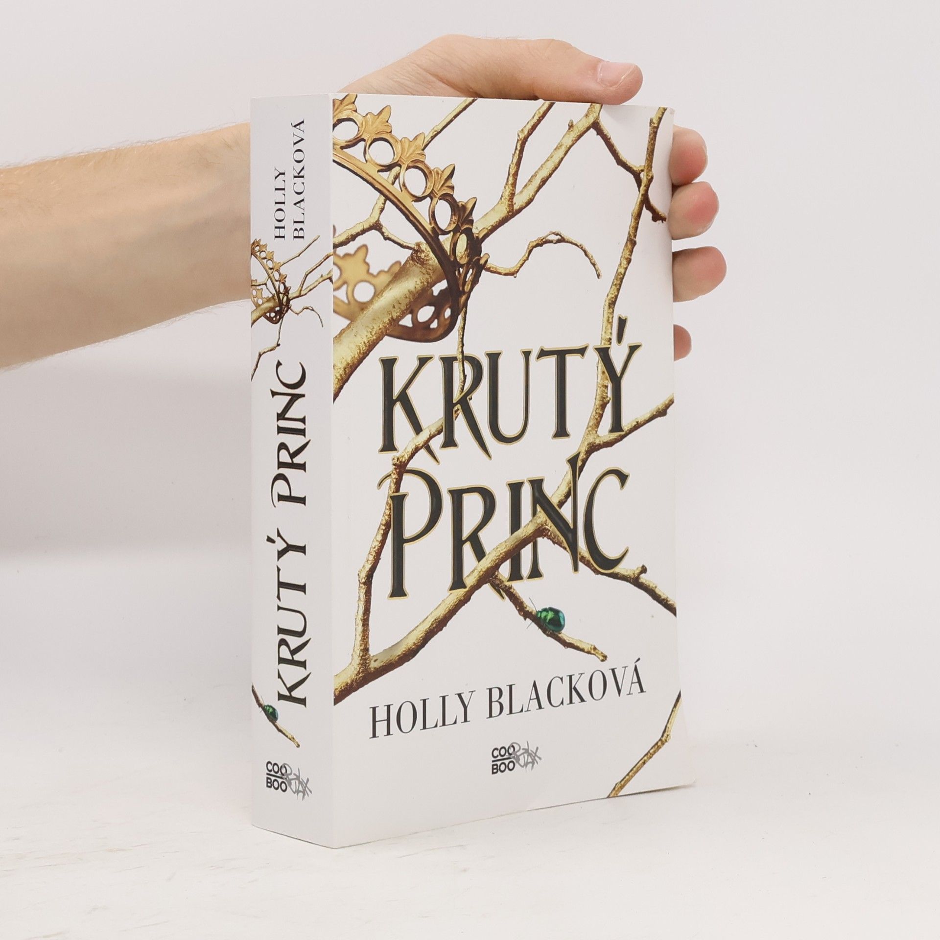 Holly Black Krutý princ