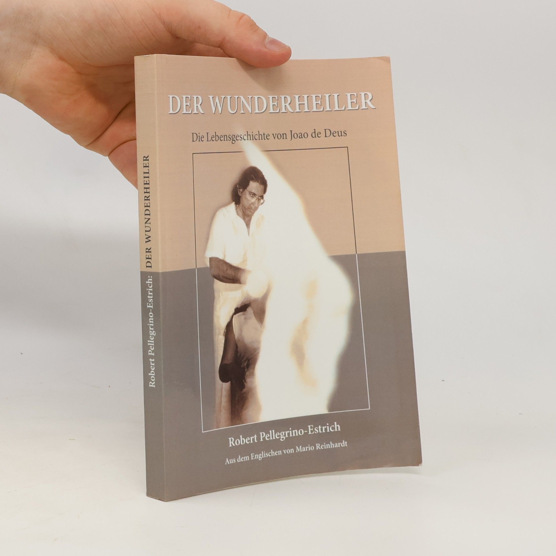 Robert Pellegrino Estrich Der Wunderheiler