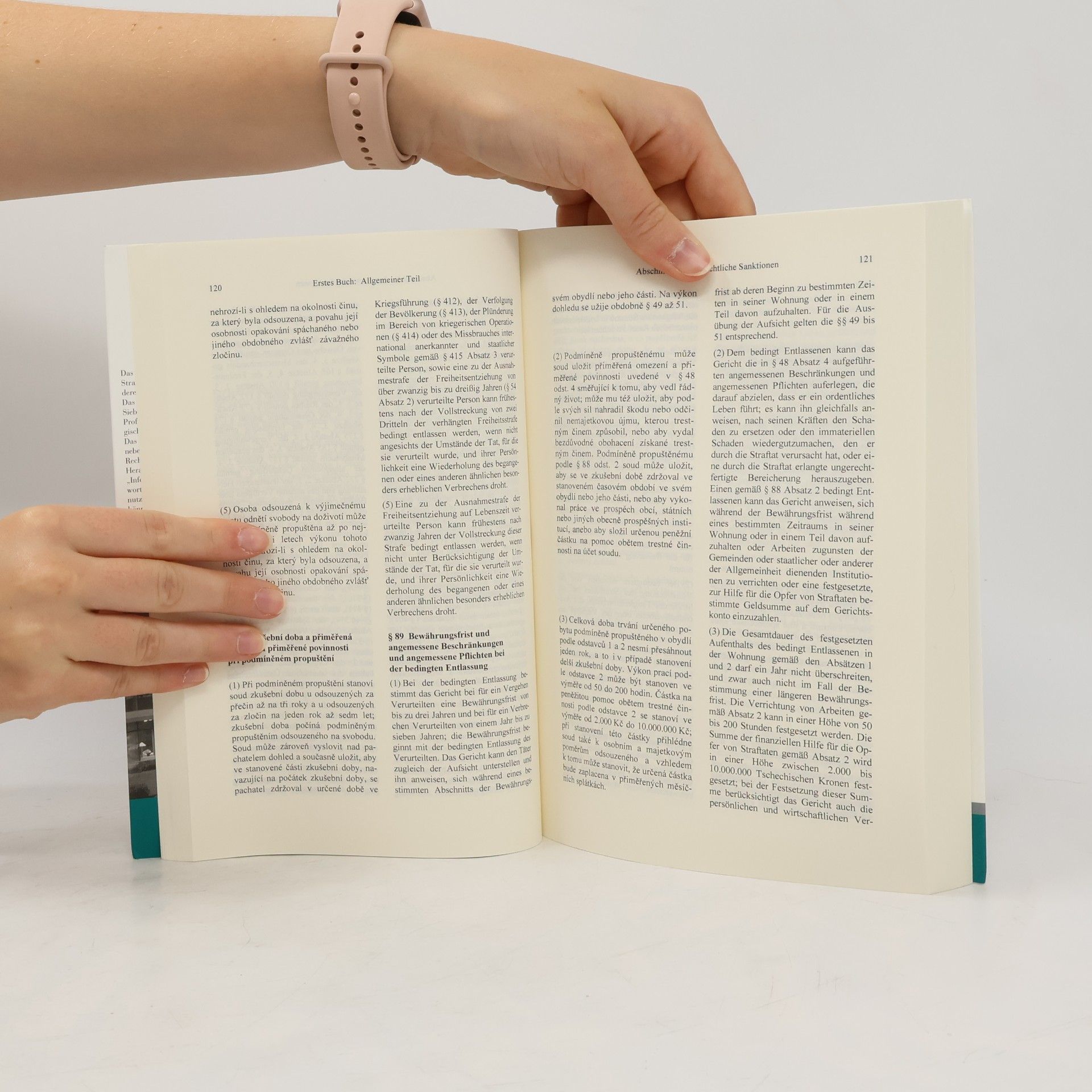 Susanne Altmann Schriftenreihe des Max-Planck-Instituts für ausländisches und internationales Strafrecht - G 126: Strafgesetzbuch der Tschechischen Republik - Trestní zákoník České republiky