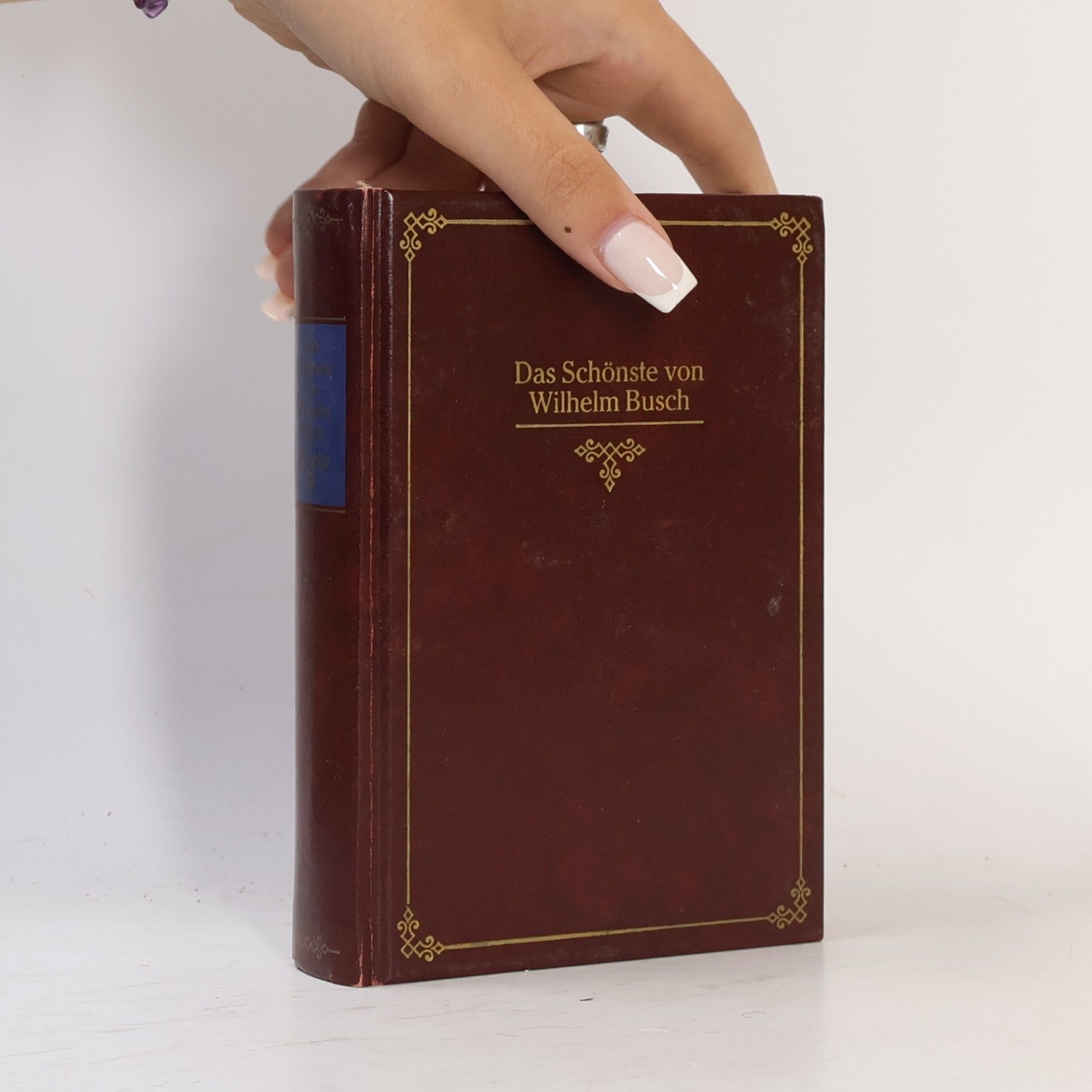 Das Schönste von Wilhelm Busch