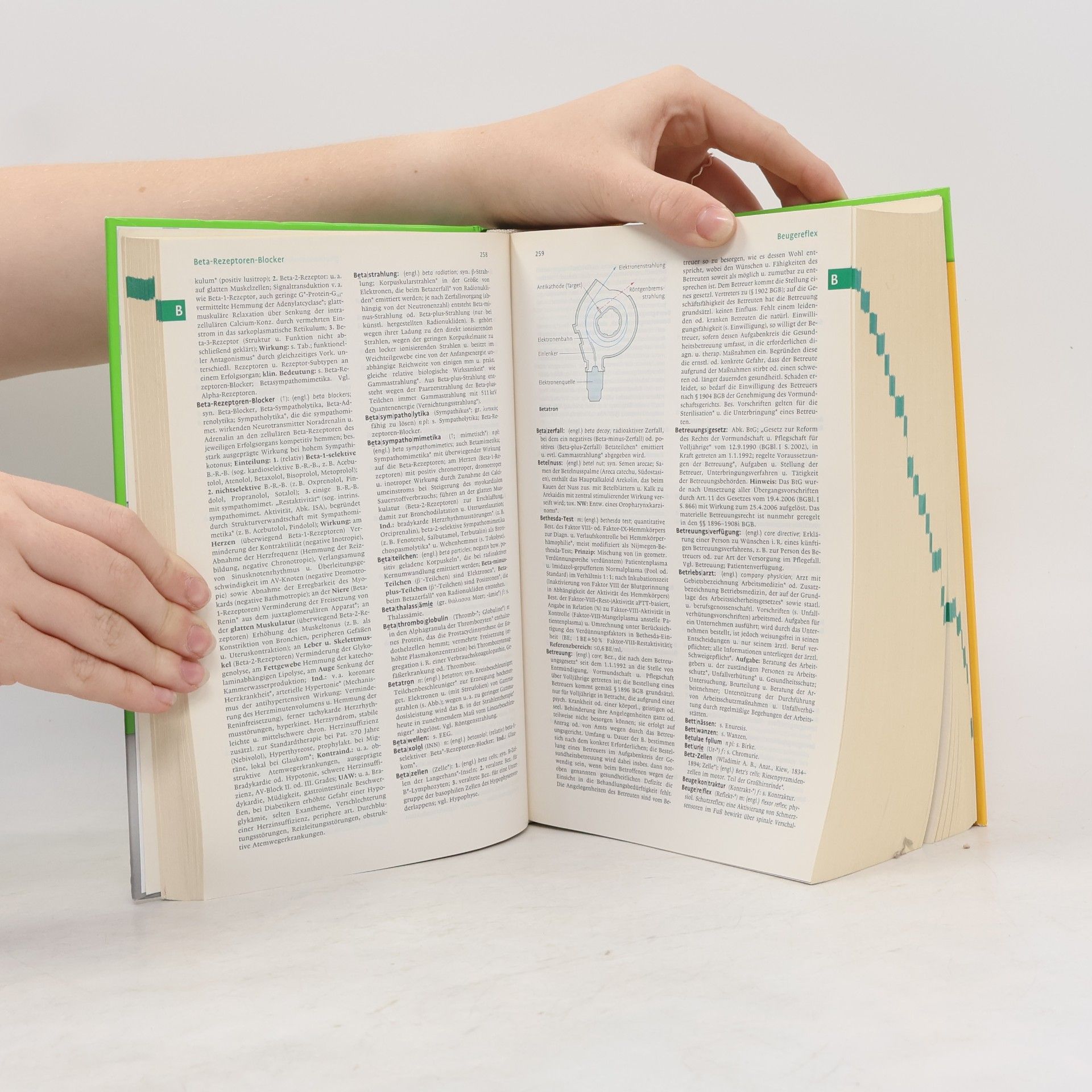 Willibald Pschyrembel Pschyrembel Klinisches Wörterbuch 2011