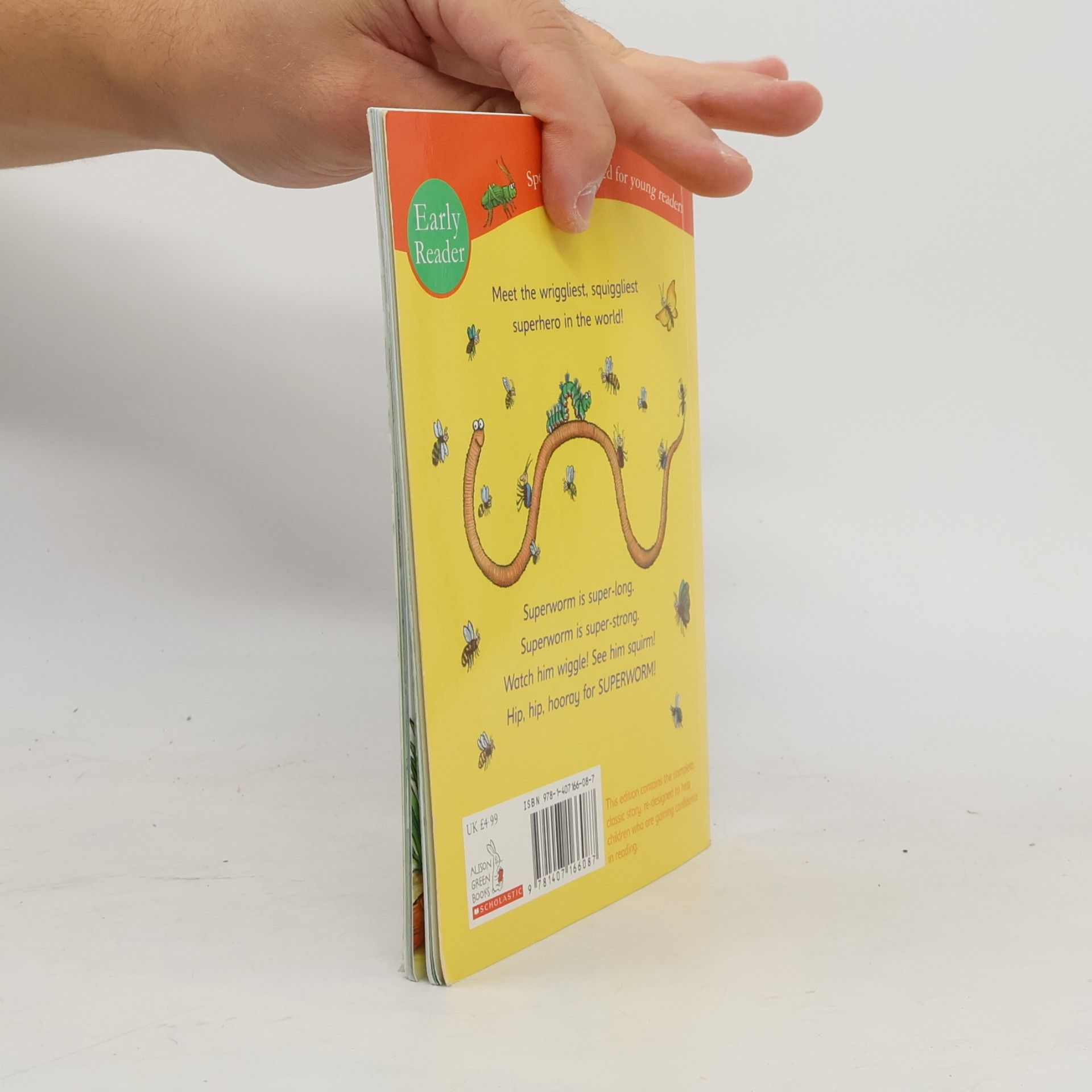 Julia Donaldson Superworm Early Reader