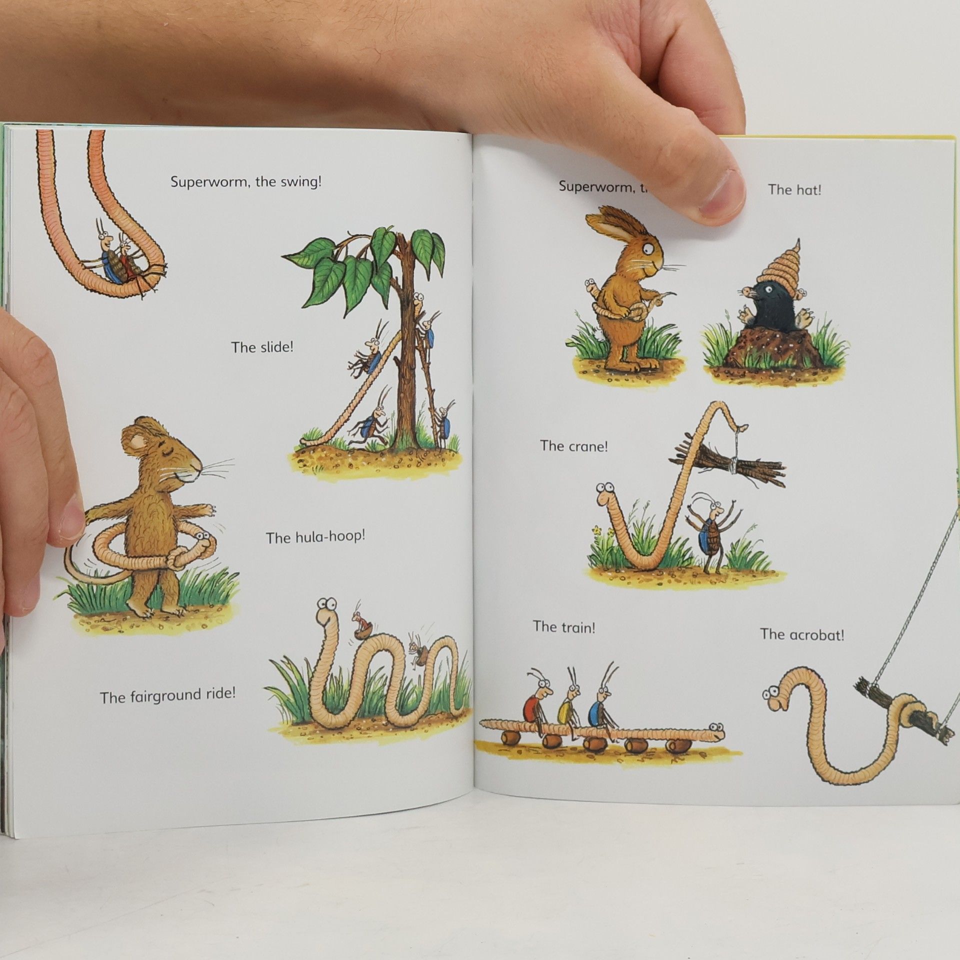 Julia Donaldson Superworm Early Reader