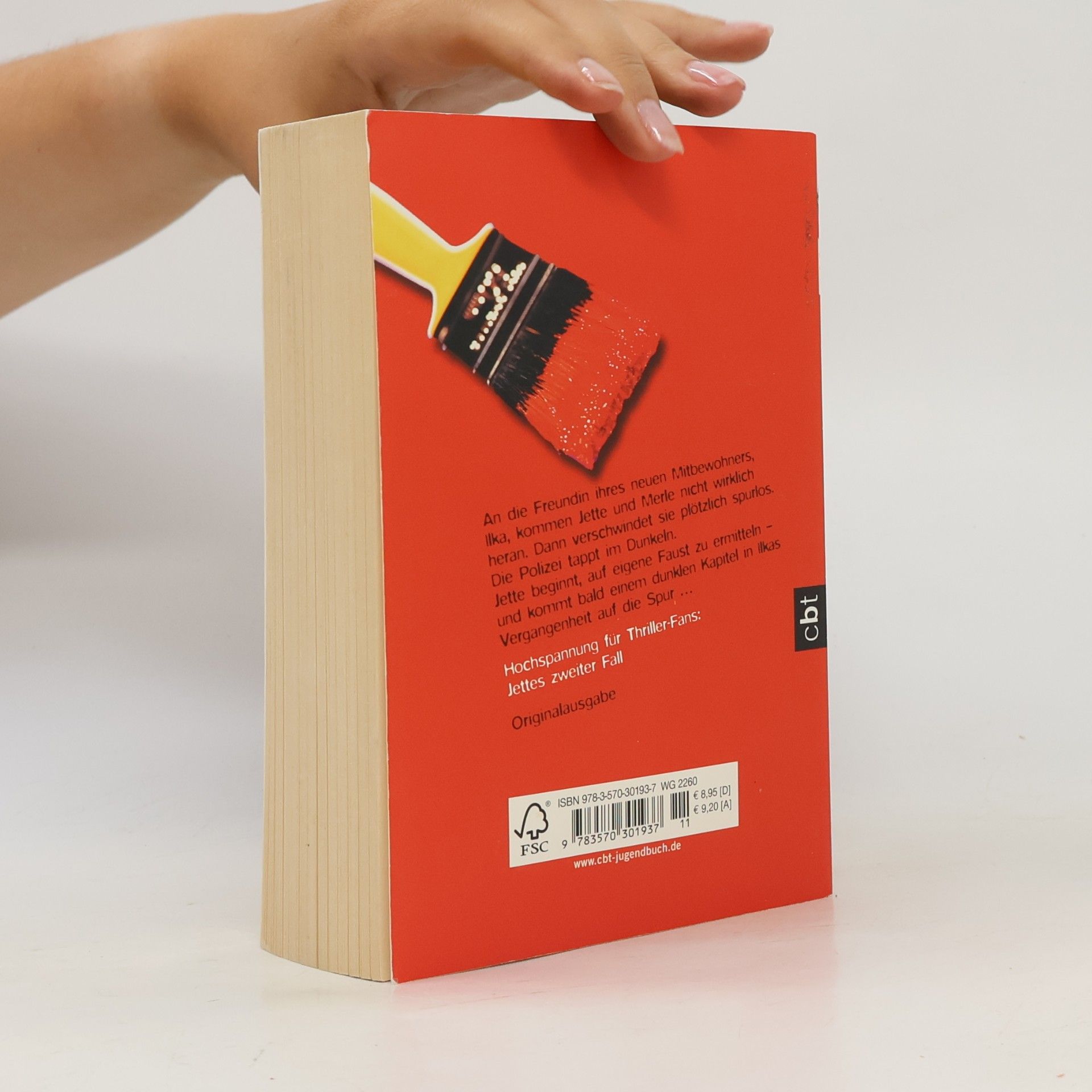 Monika Feth Der Mädchenmaler