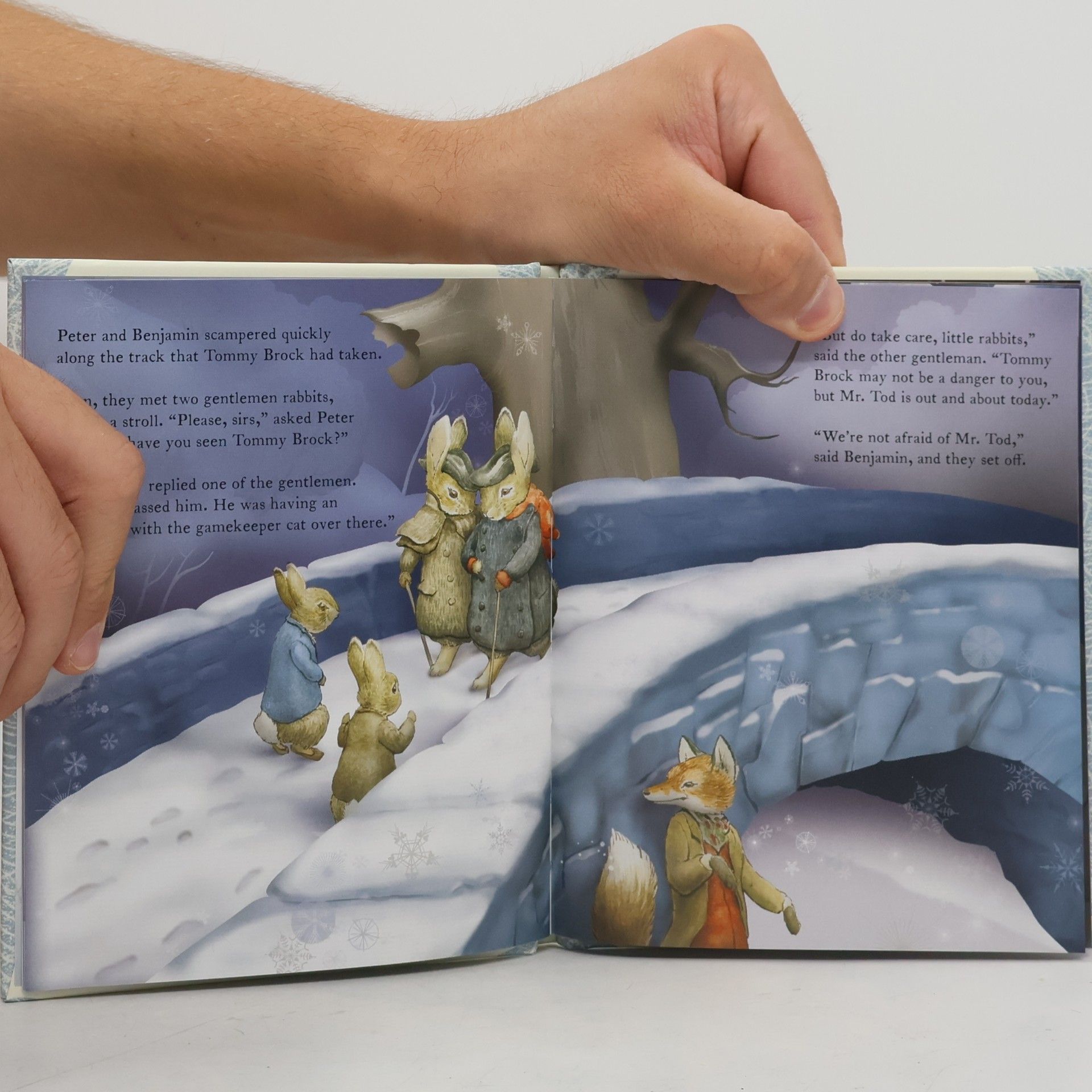 Beatrix Potter Peter Rabbit: A Winter's Tale