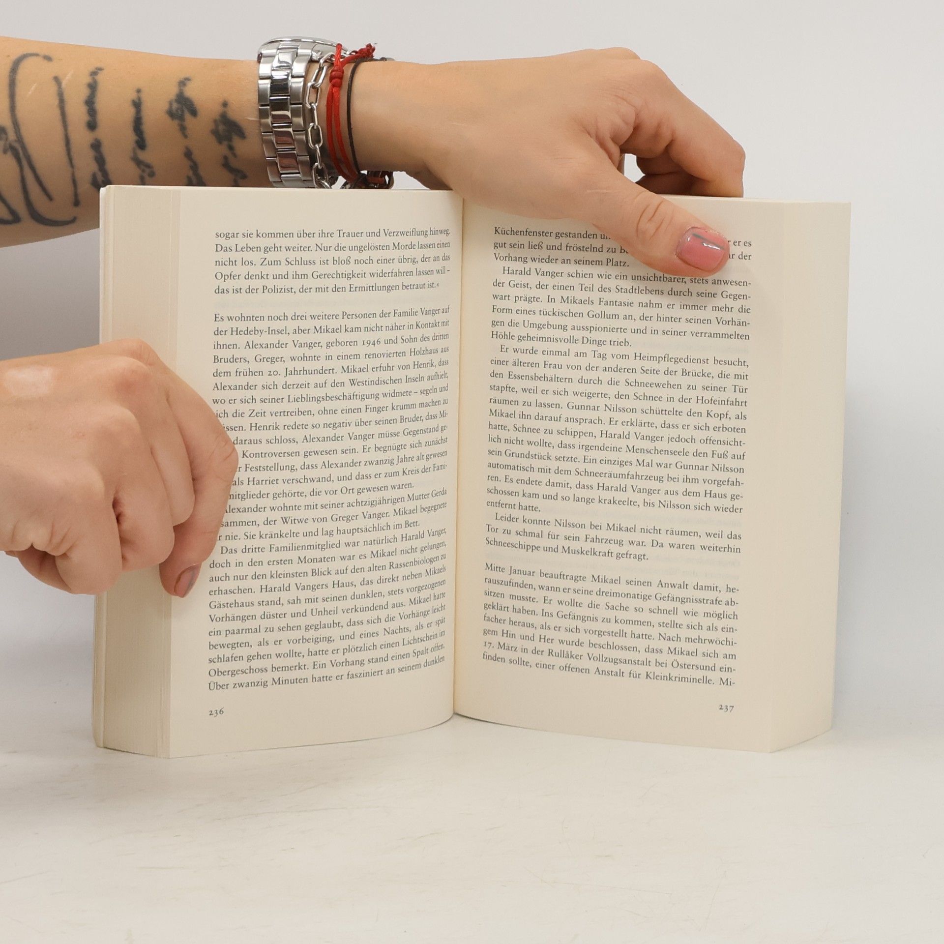 Stieg Larsson Verblendung