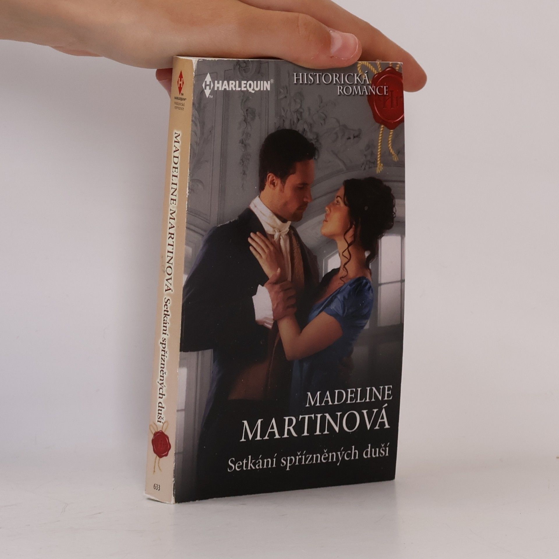 Madeline Martin Setkání spřízněných duší