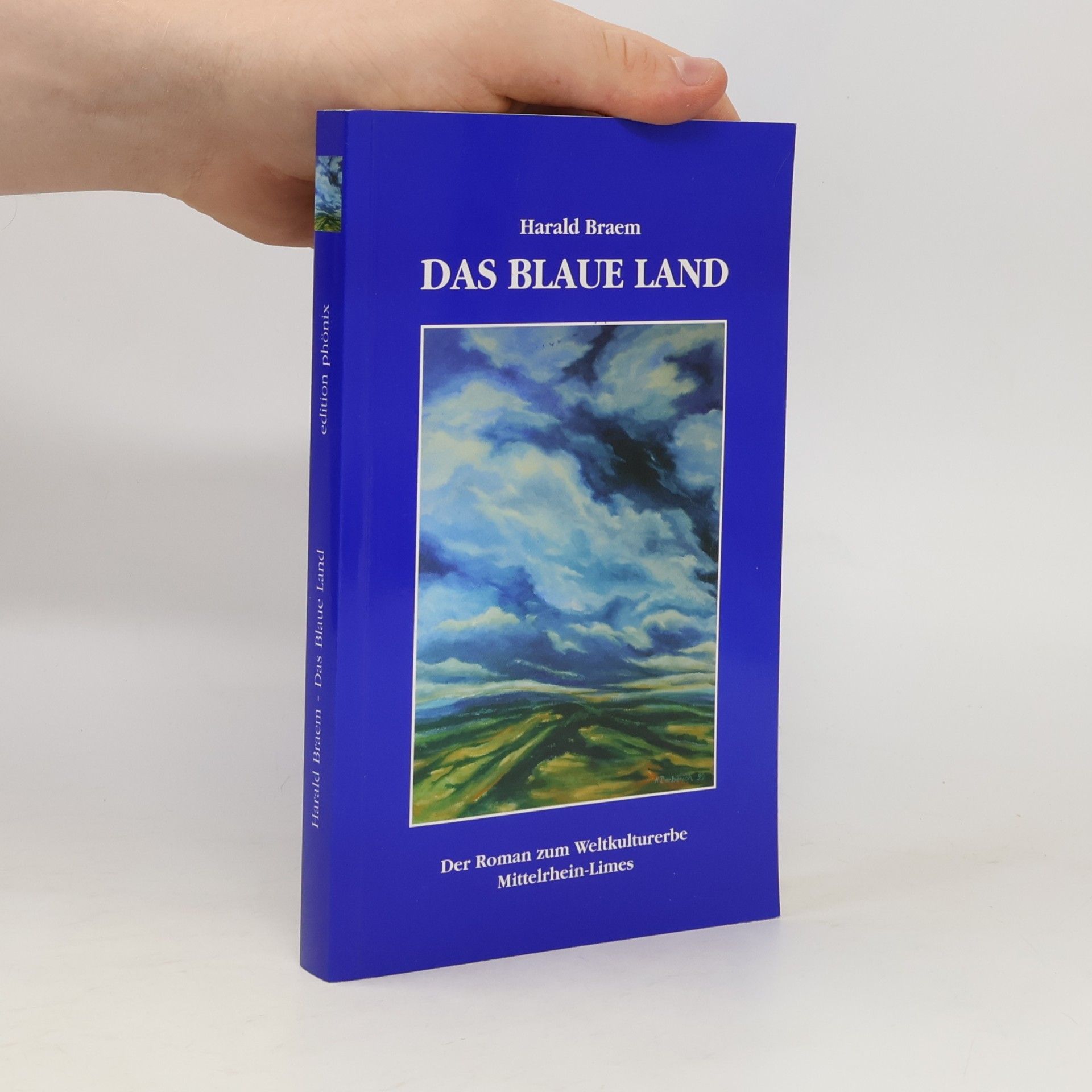 Harald Braem Das blaue Land. Der Roman zum Weltkulturerbe Mittelrhein-Limes