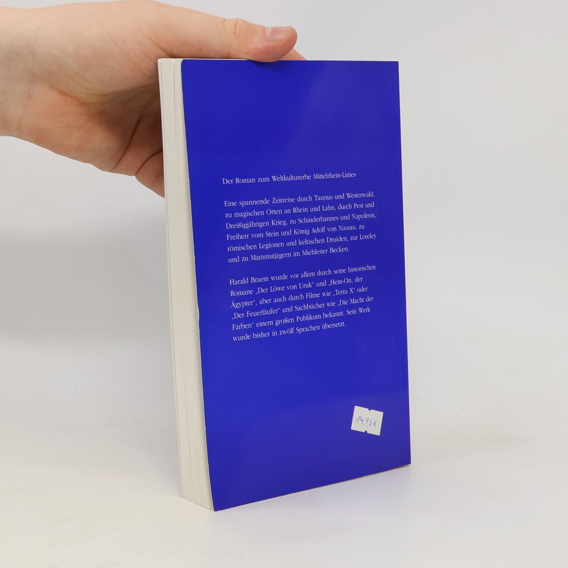 Harald Braem Das blaue Land. Der Roman zum Weltkulturerbe Mittelrhein-Limes