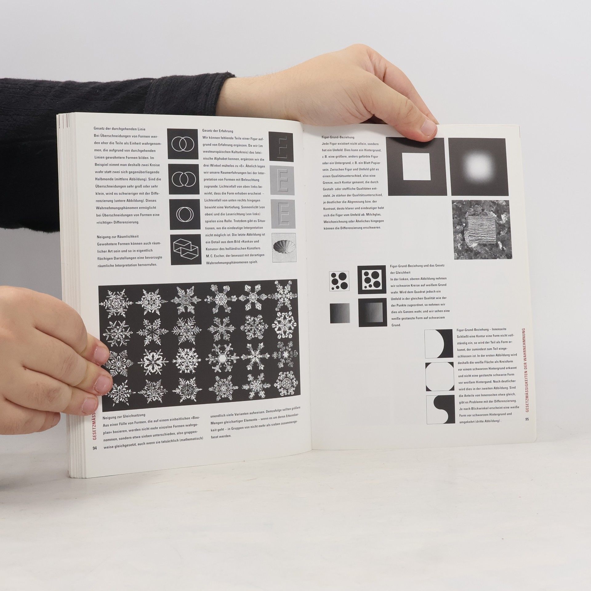 Pina Lewandowsky Visuelles Gestalten mit dem Computer
