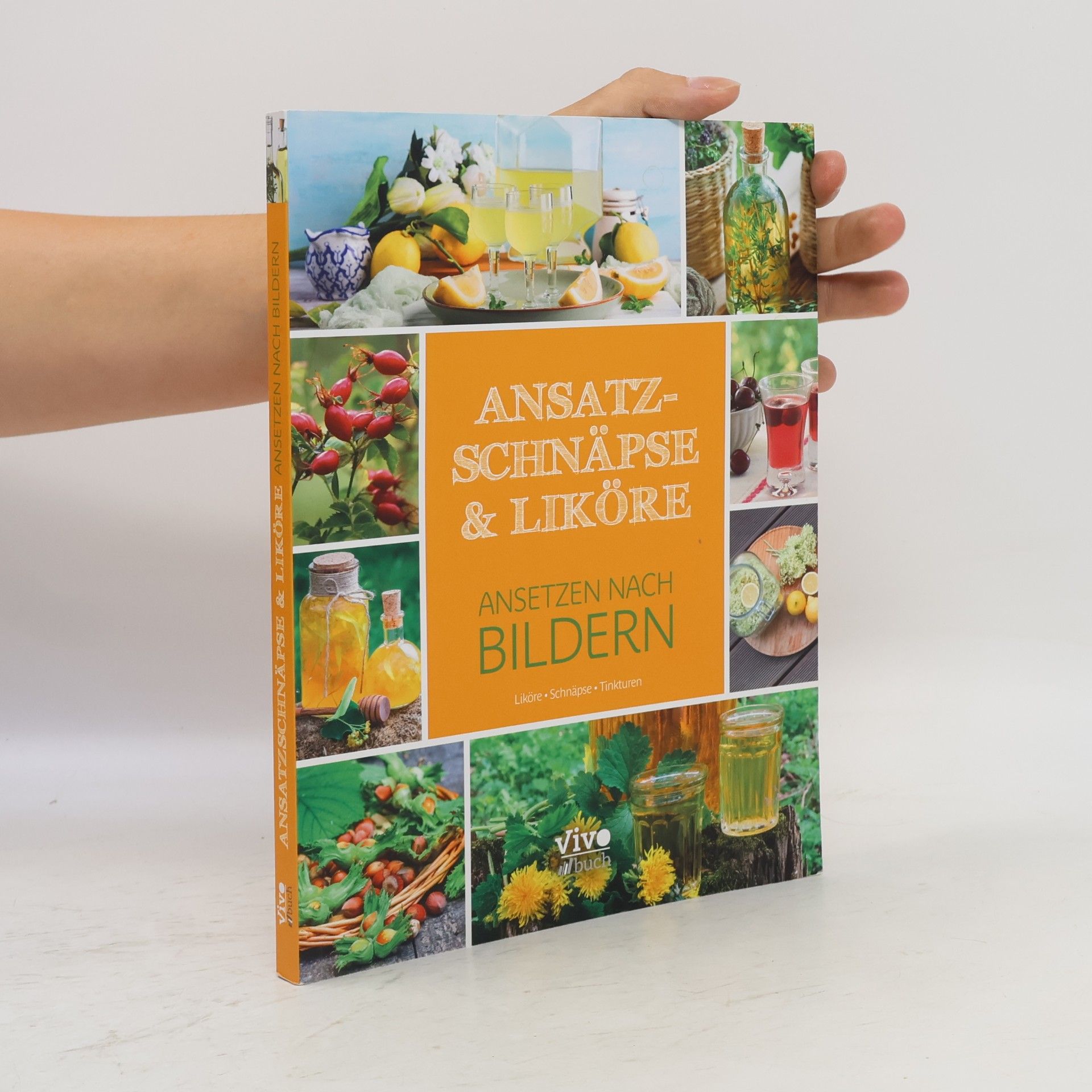 Ansatzschnäpse & Liköre