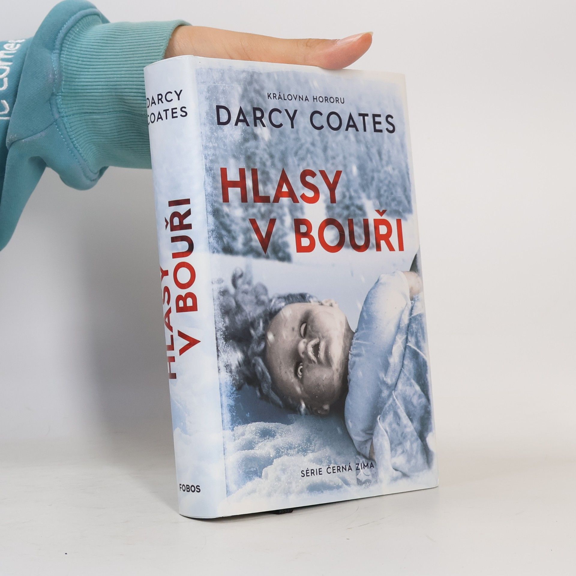 Darcy Coates Hlasy v bouři