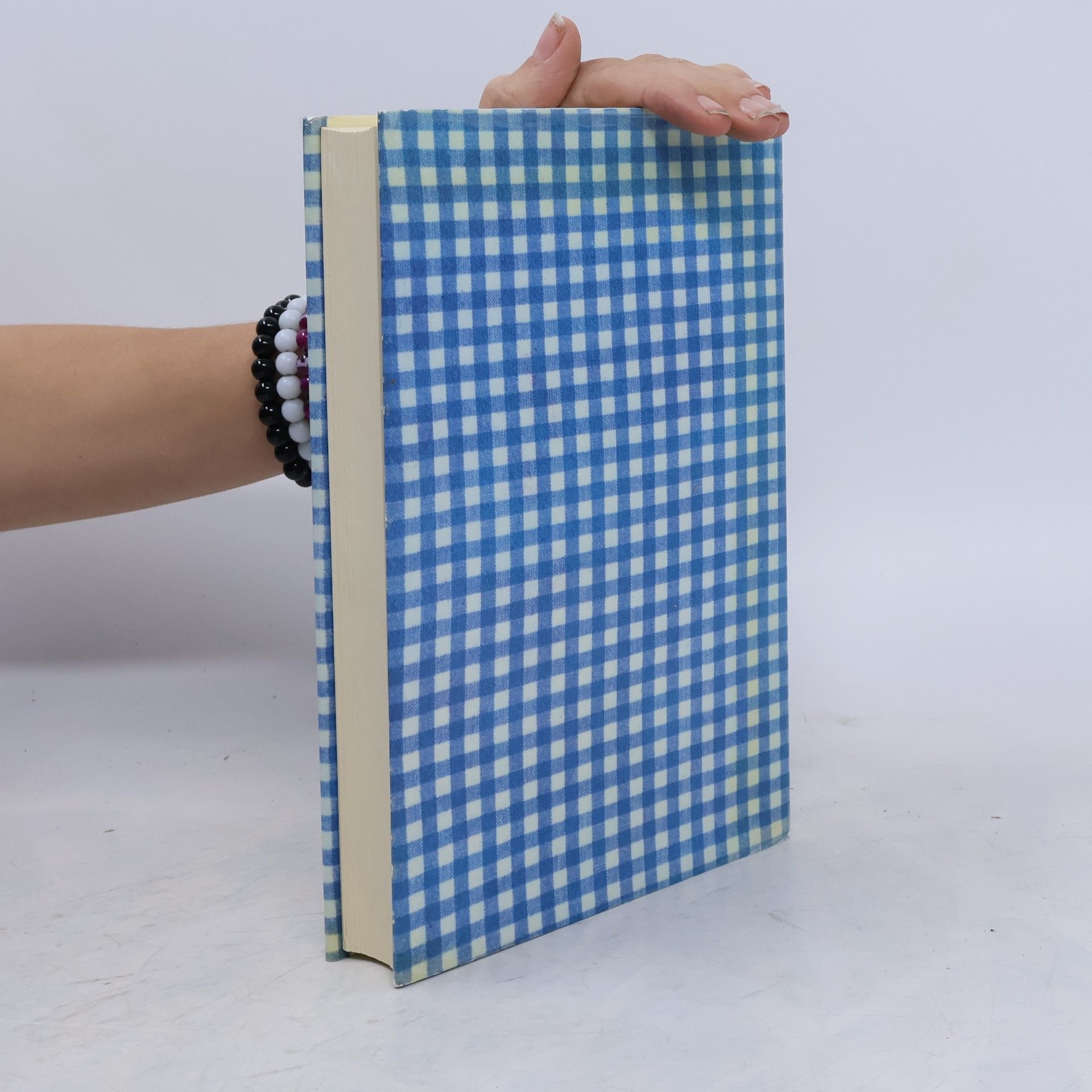 kolektiv Das weiss-blaue Kopfkissenbuch