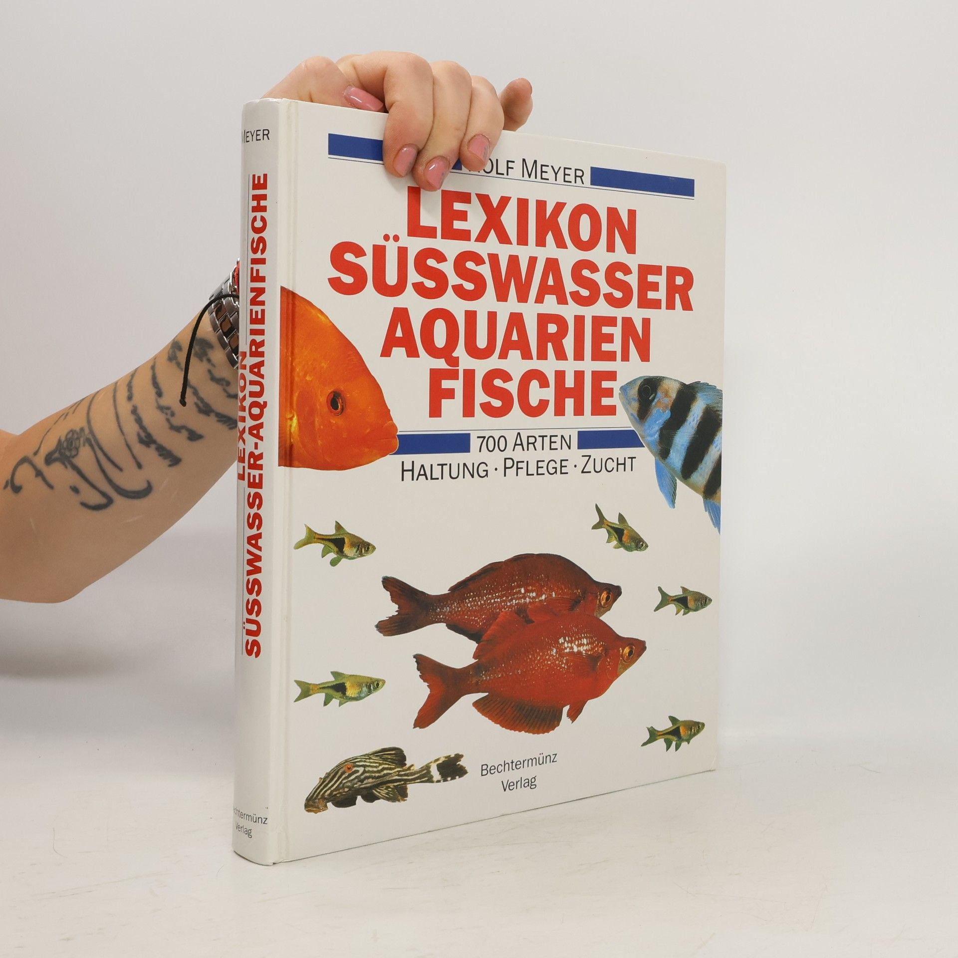Autorenkollektiv Lexikon Süsswasser Aquarienfische