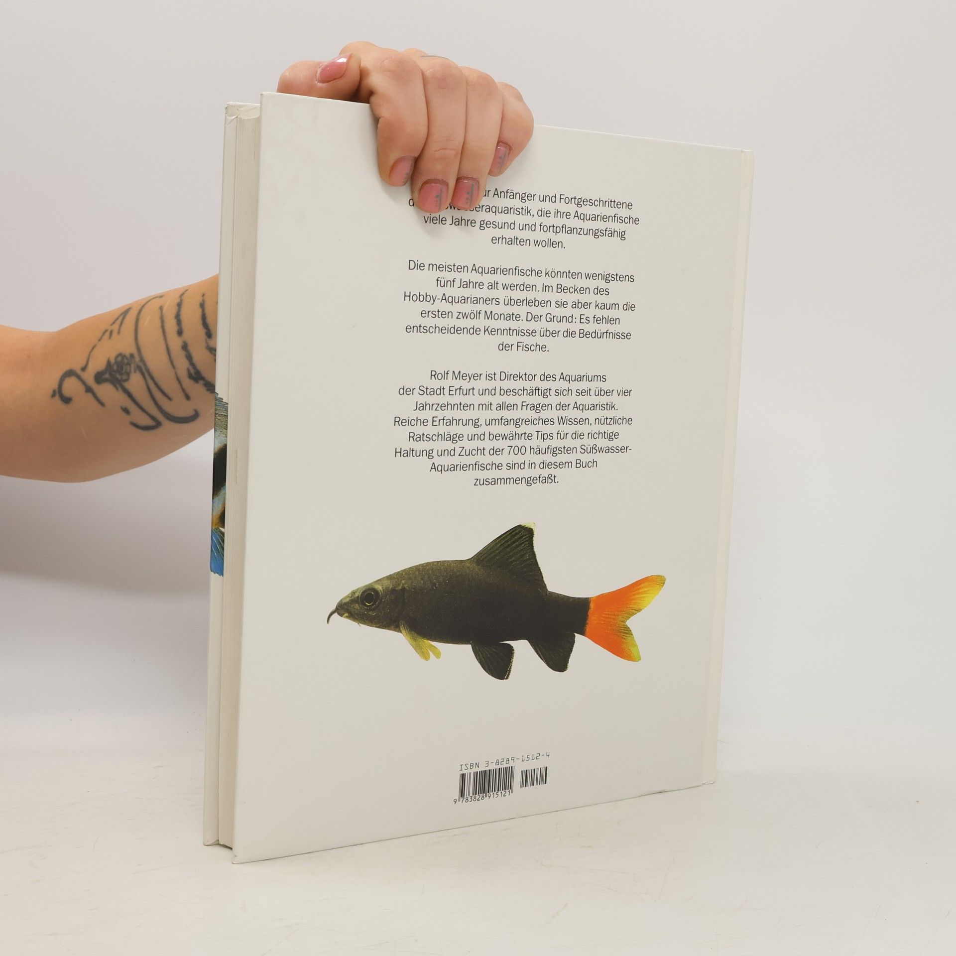 Autorenkollektiv Lexikon Süsswasser Aquarienfische