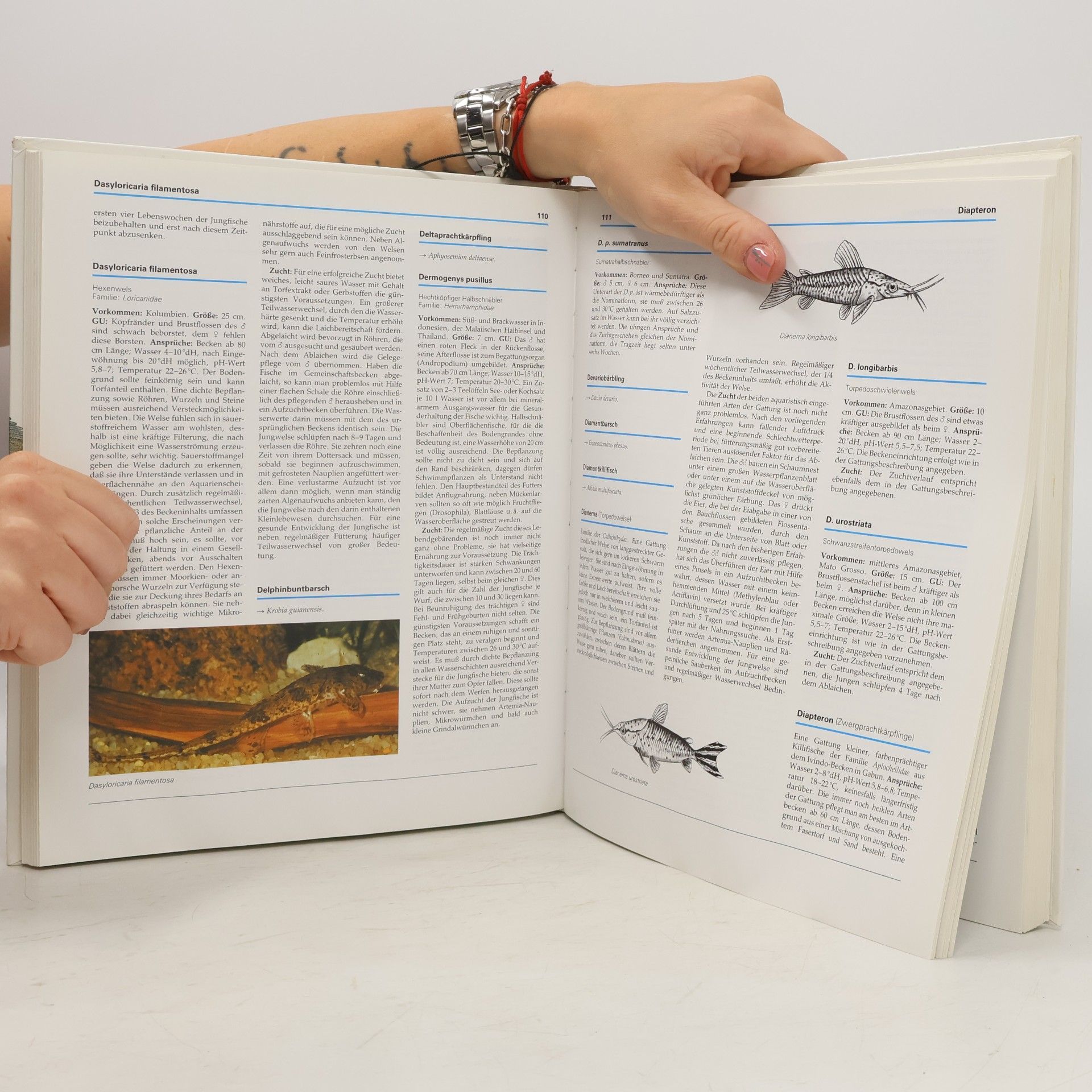 Autorenkollektiv Lexikon Süsswasser Aquarienfische