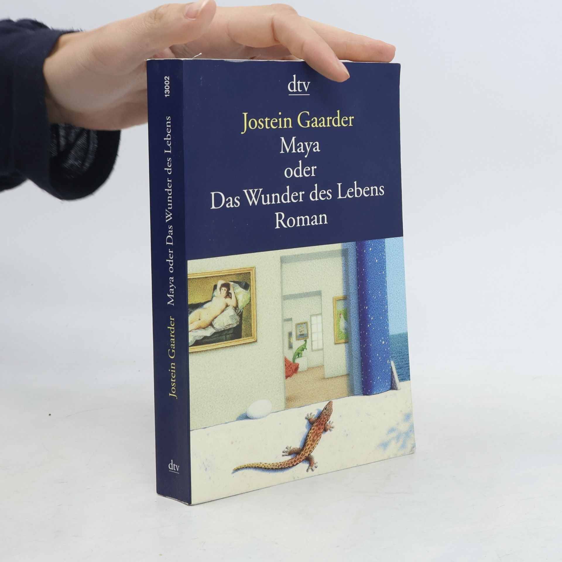 Jostein Gaarder Maya oder Das Wunder des Lebens