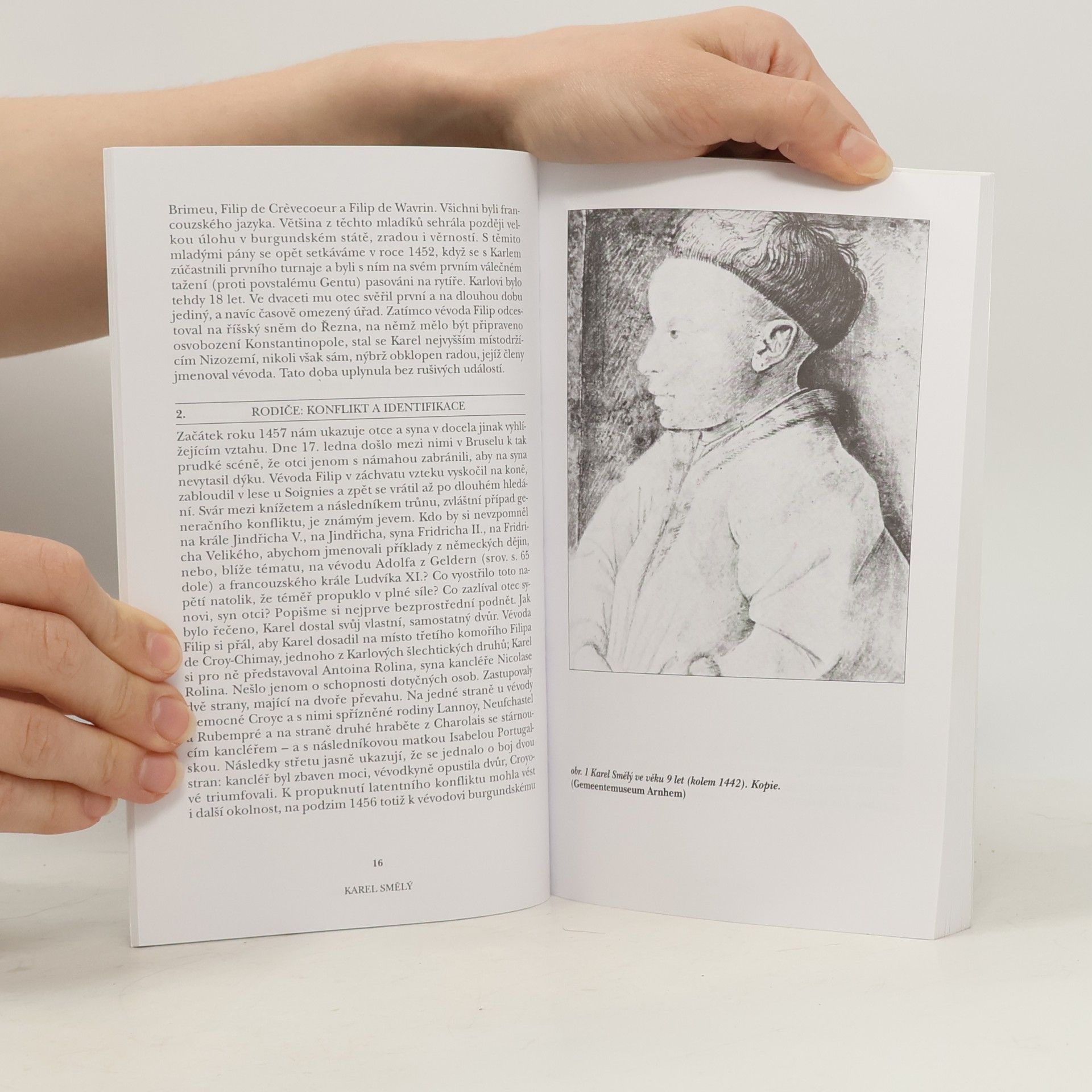 Werner Paravicini Karel Smělý : zánik domu burgundského