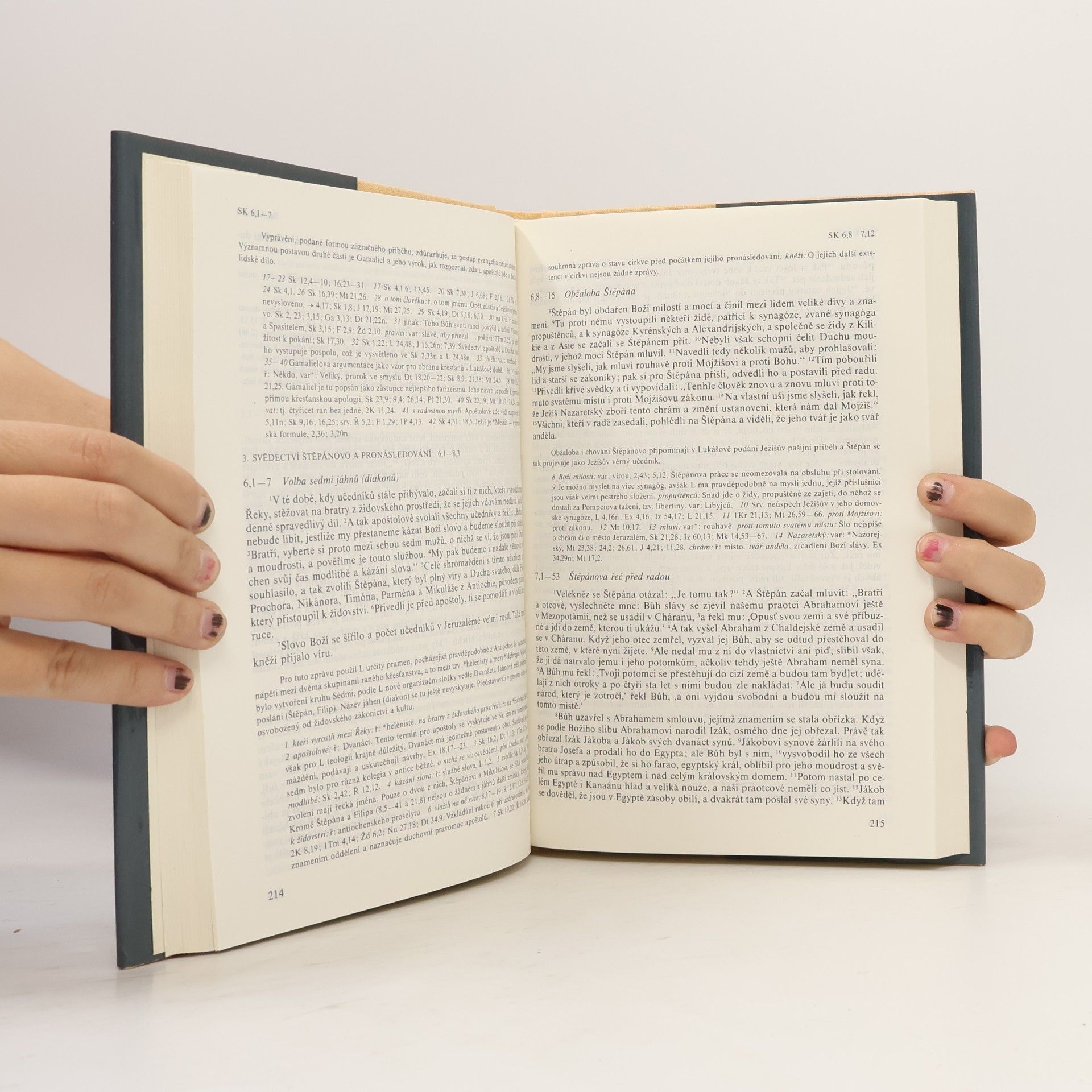 Various authors Nový zákon s výkladovými poznámkami