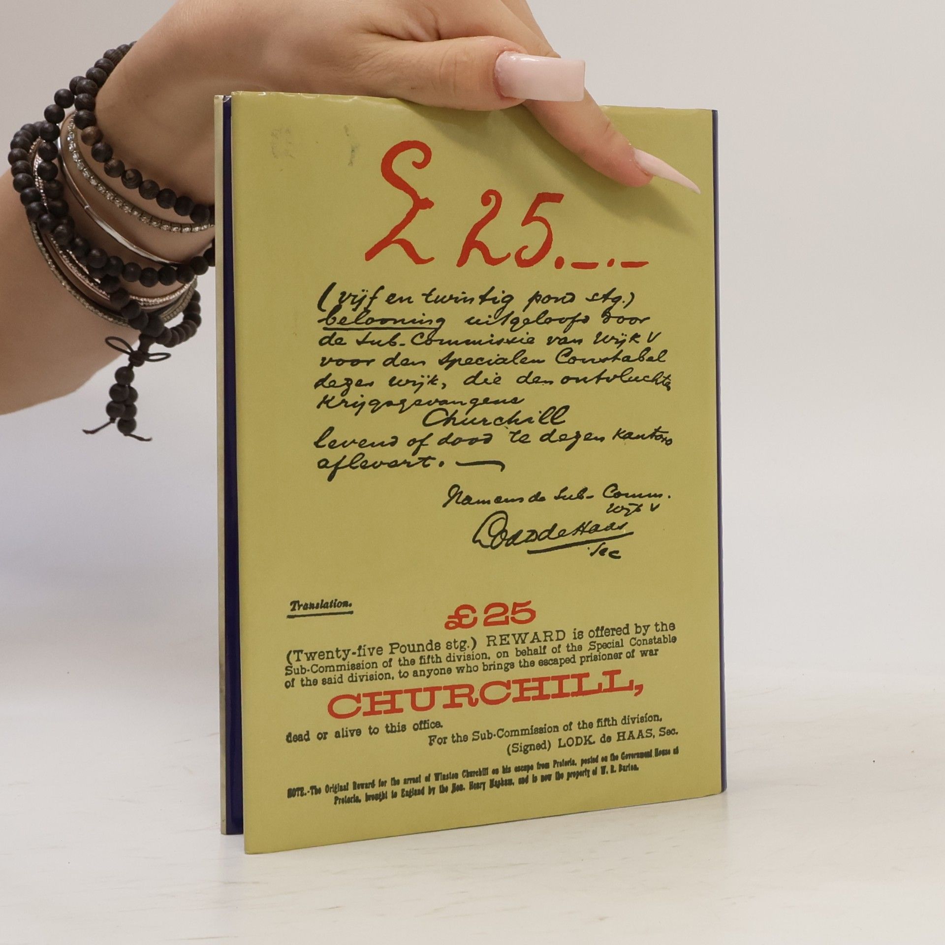 Winston S. Churchill Mé životní začátky