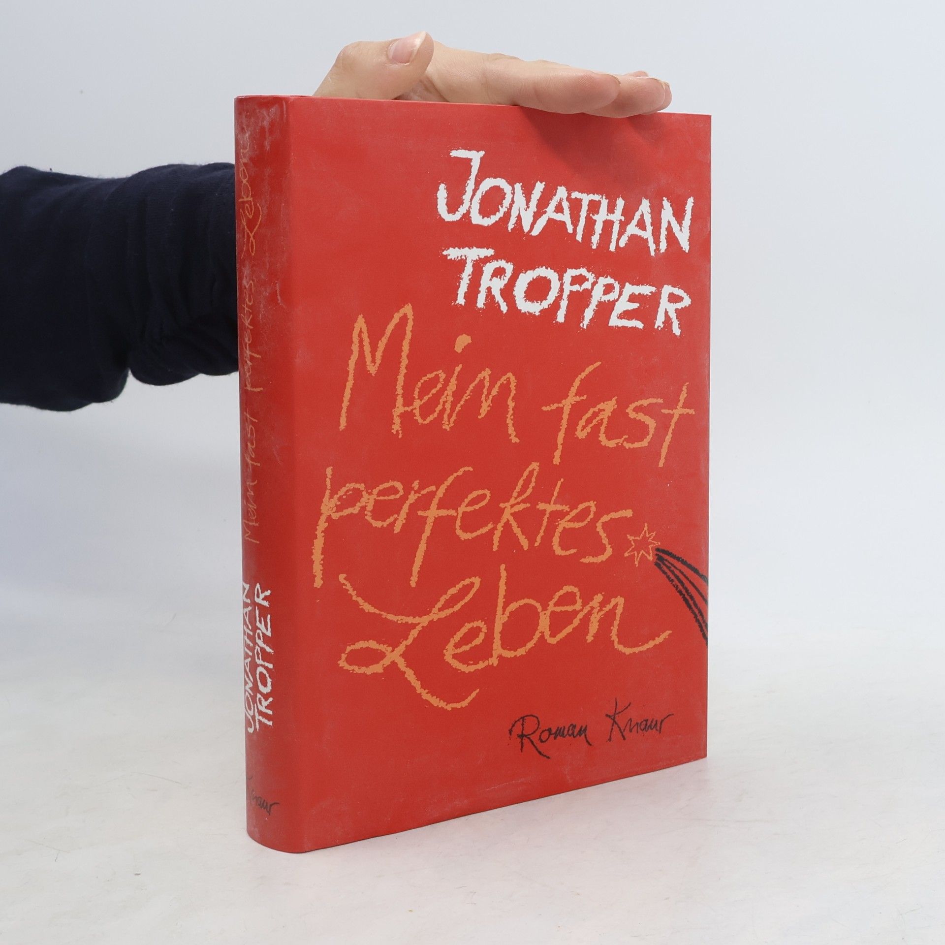 Jonathan Tropper Mein fast perfektes Leben
