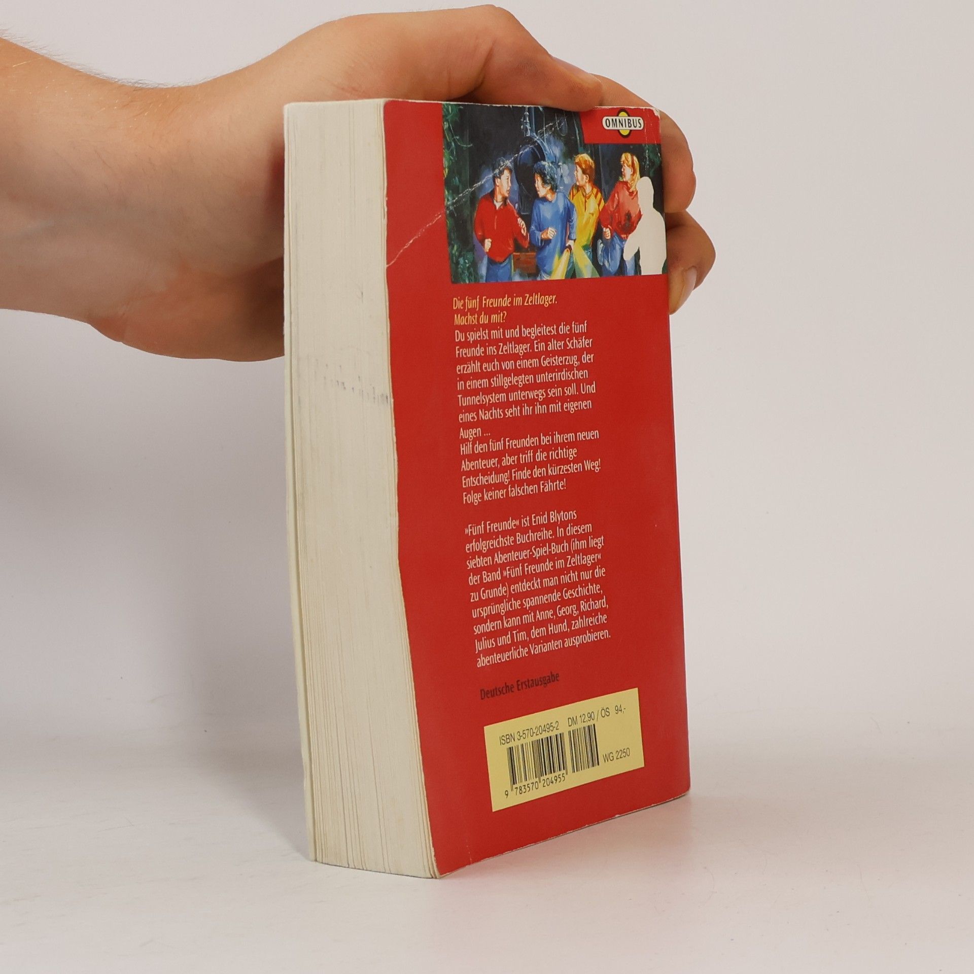 Enid Blyton Fünf Freunde und Du im Zeltlager