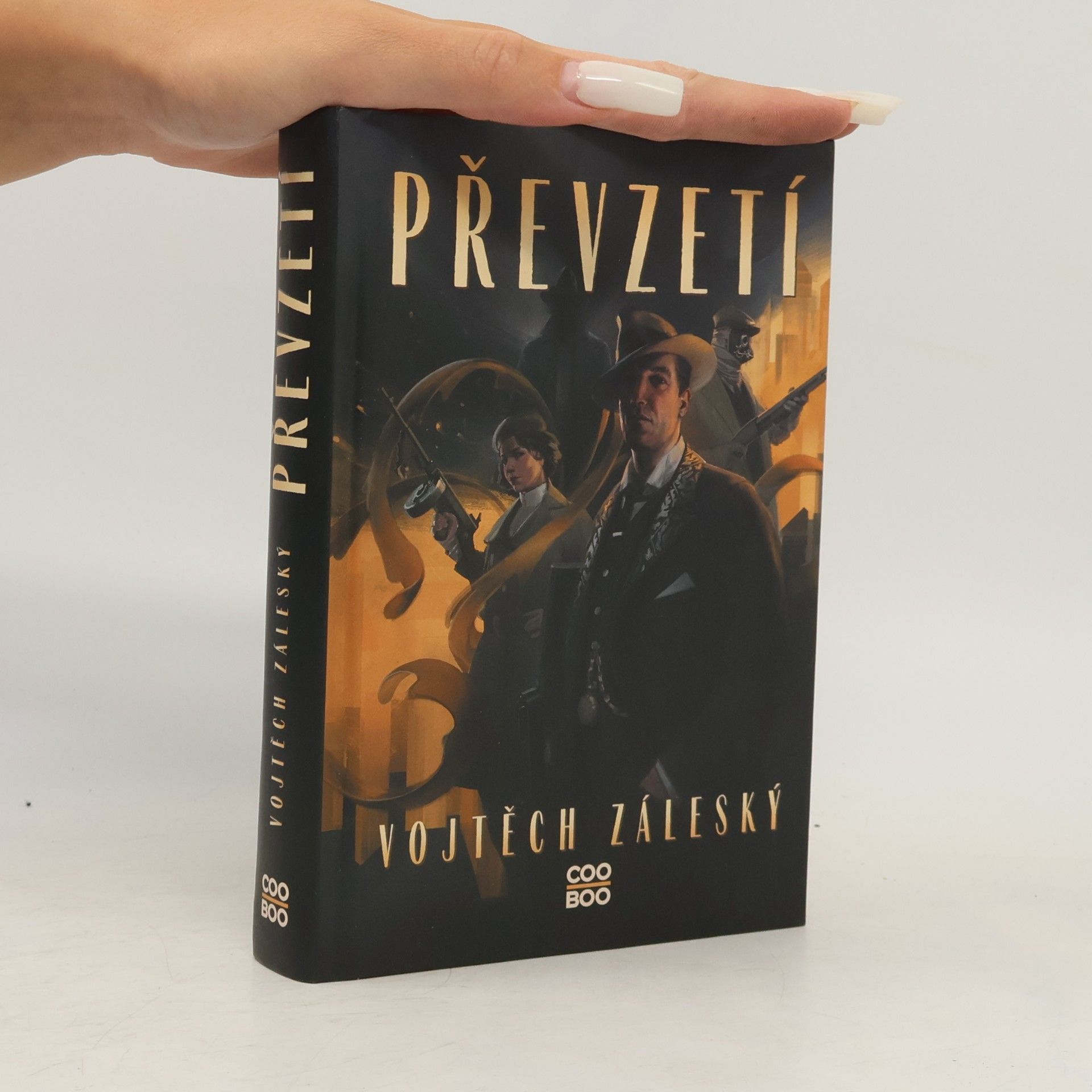 Vojtěch Záleský Převzetí