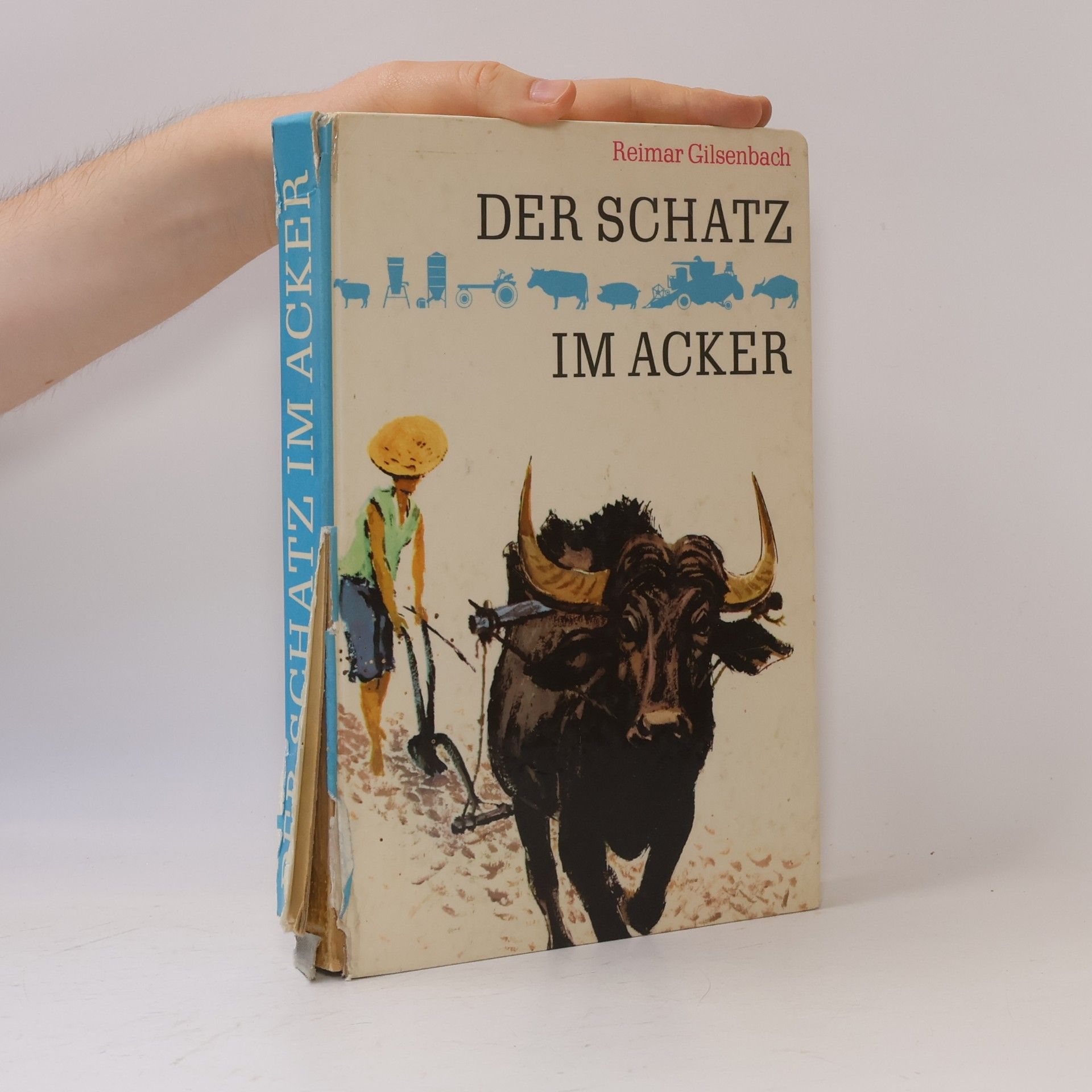 Der Schatz im Acker