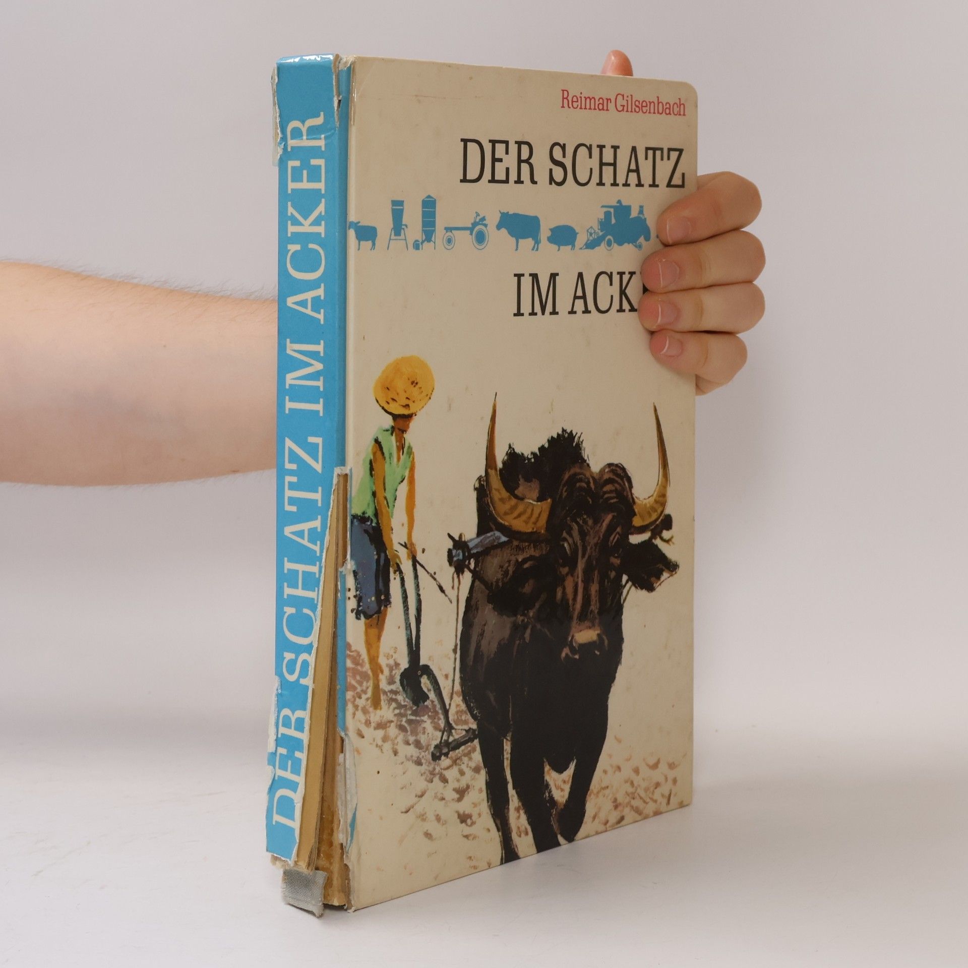 Reimar Gilsenbach Der Schatz im Acker