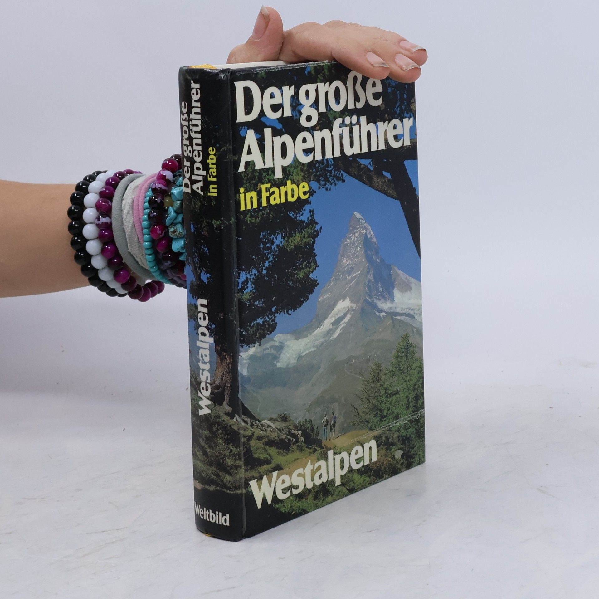 Autorenkollektiv Der große Alpenführer in Farbe. Westalpen