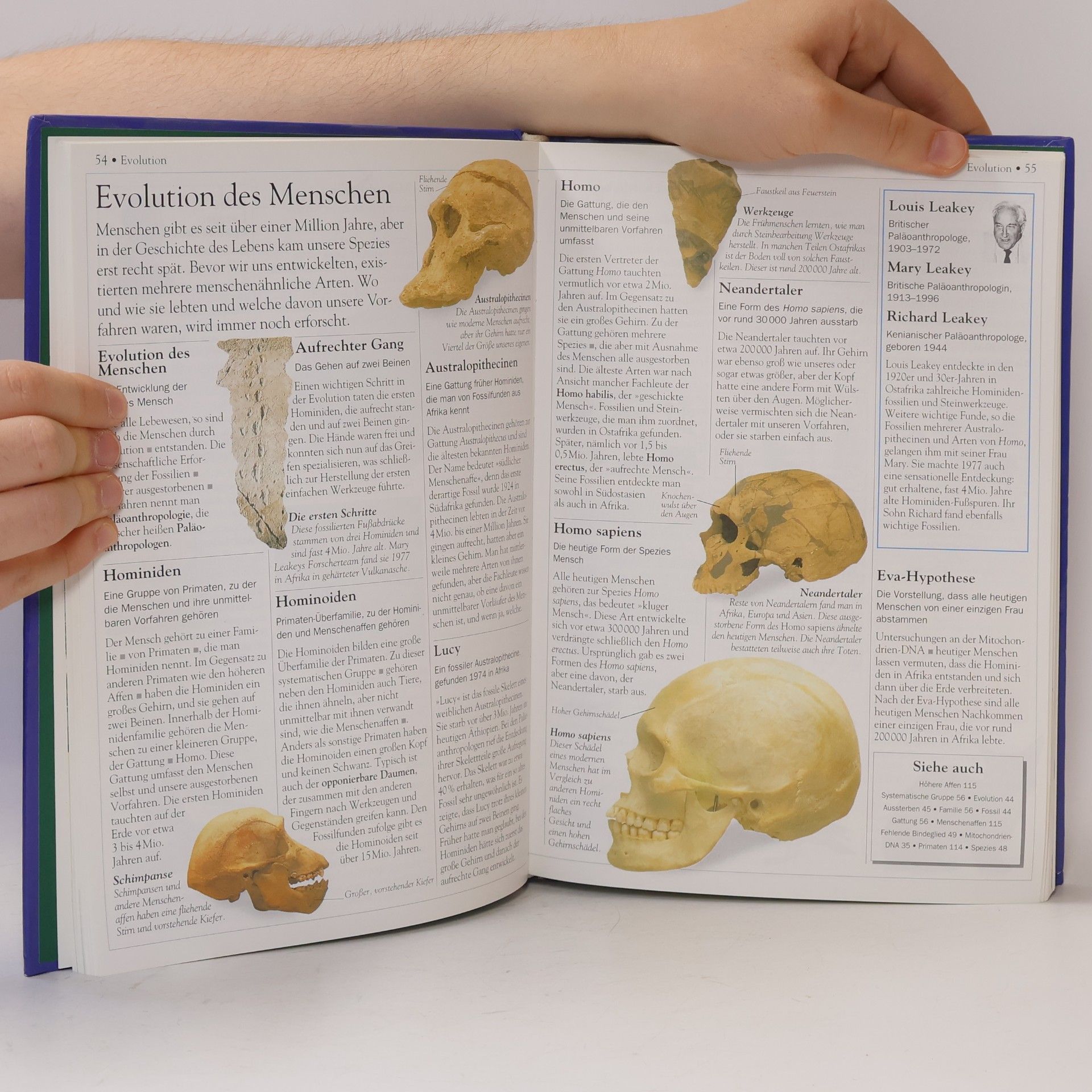 Kolektív autorov Kompaktwissen Biologie