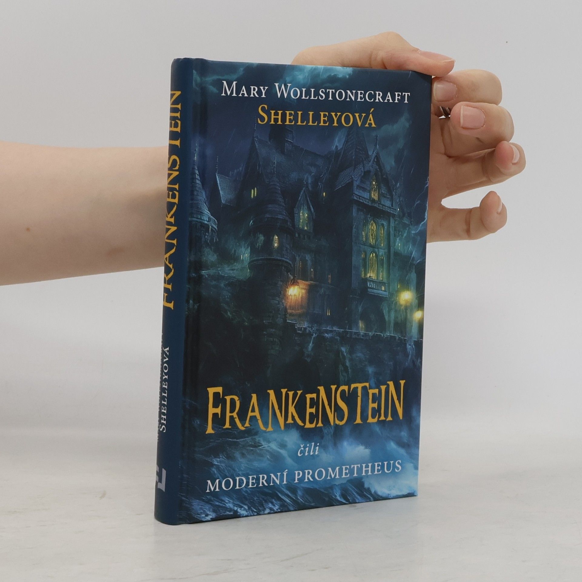Róza Mitnicková Frankenstein, čili, Moderní Prometheus