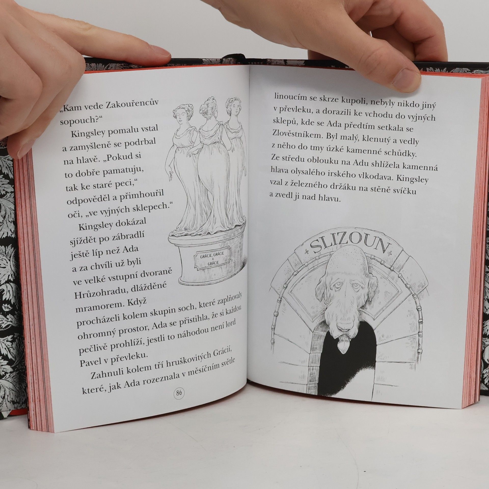 Chris Riddell Ada a hrůzostrašná slavnost