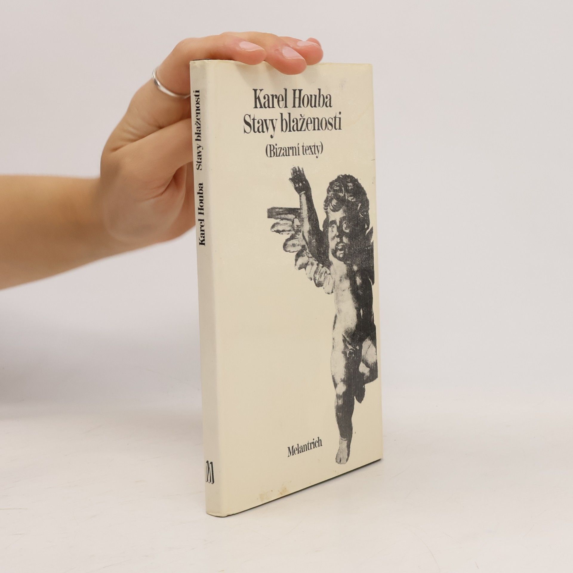 Karel Holub Stavy blaženosti
