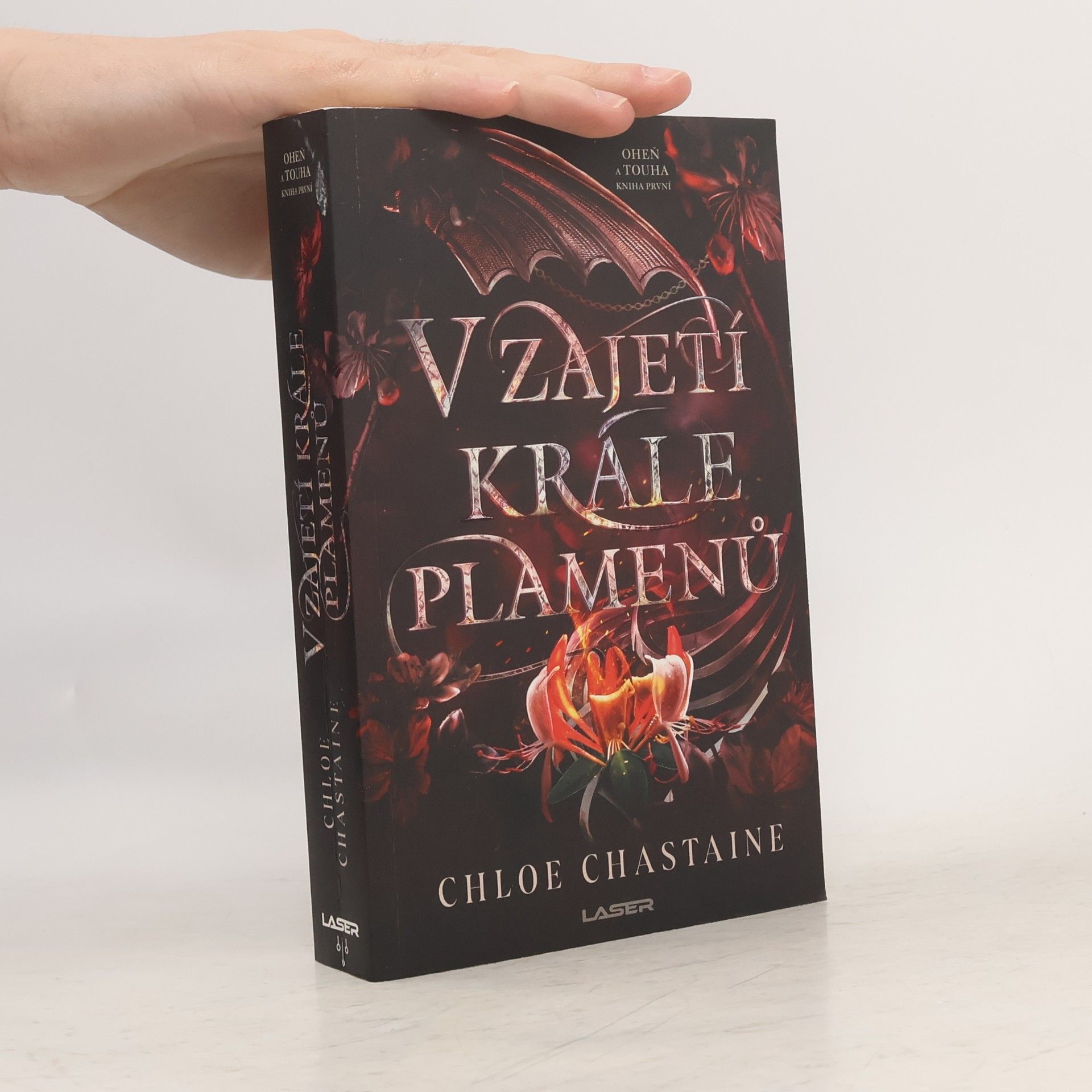 V zajetí krále plamenů