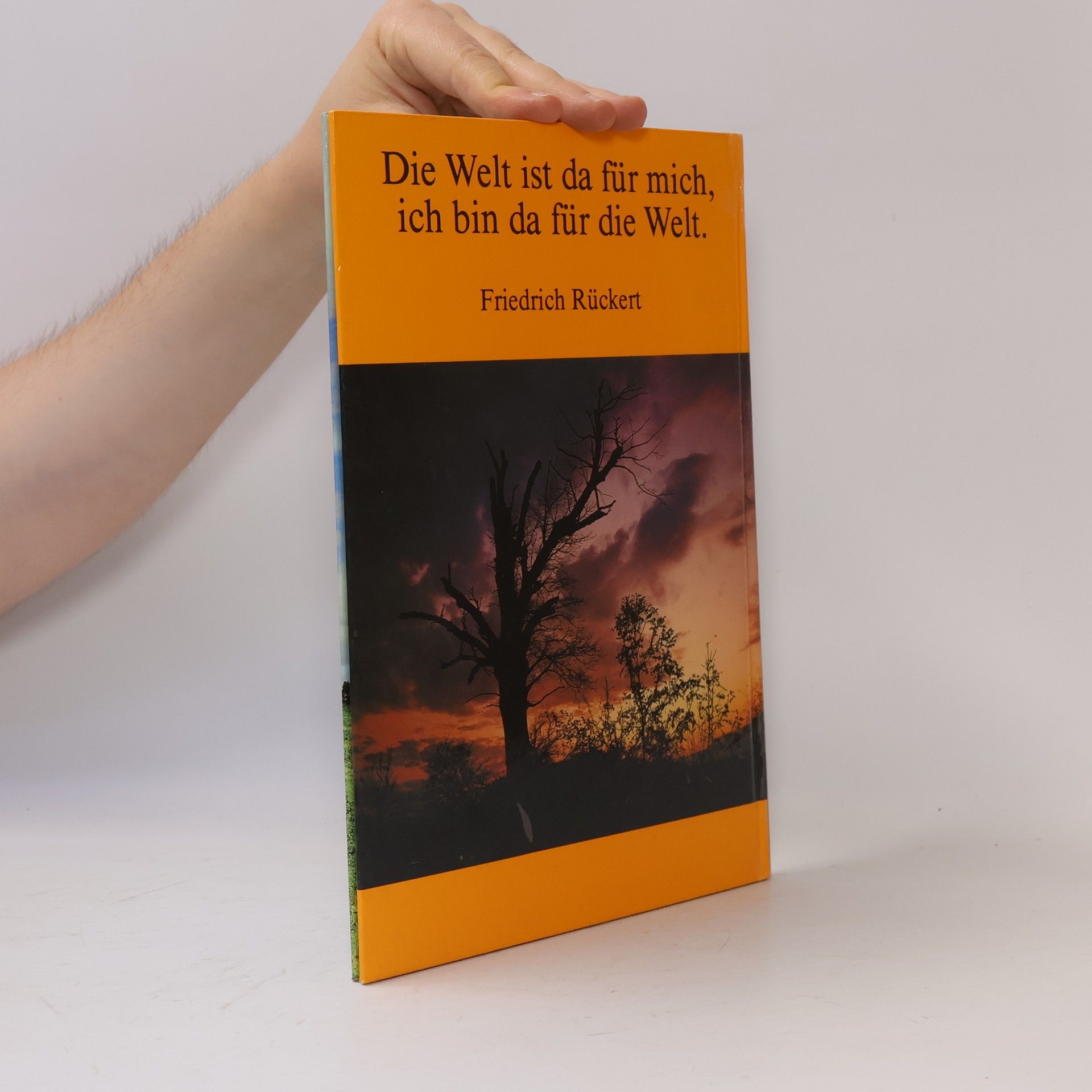 Dagmar Maeß Bäume des Lebens