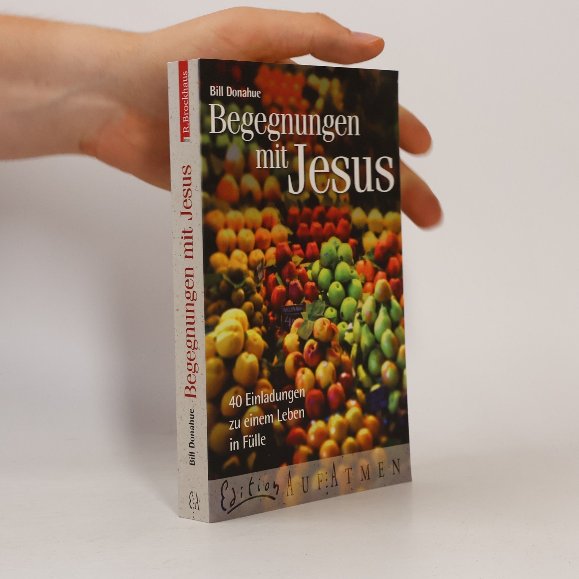 Begegnungen mit Jesus