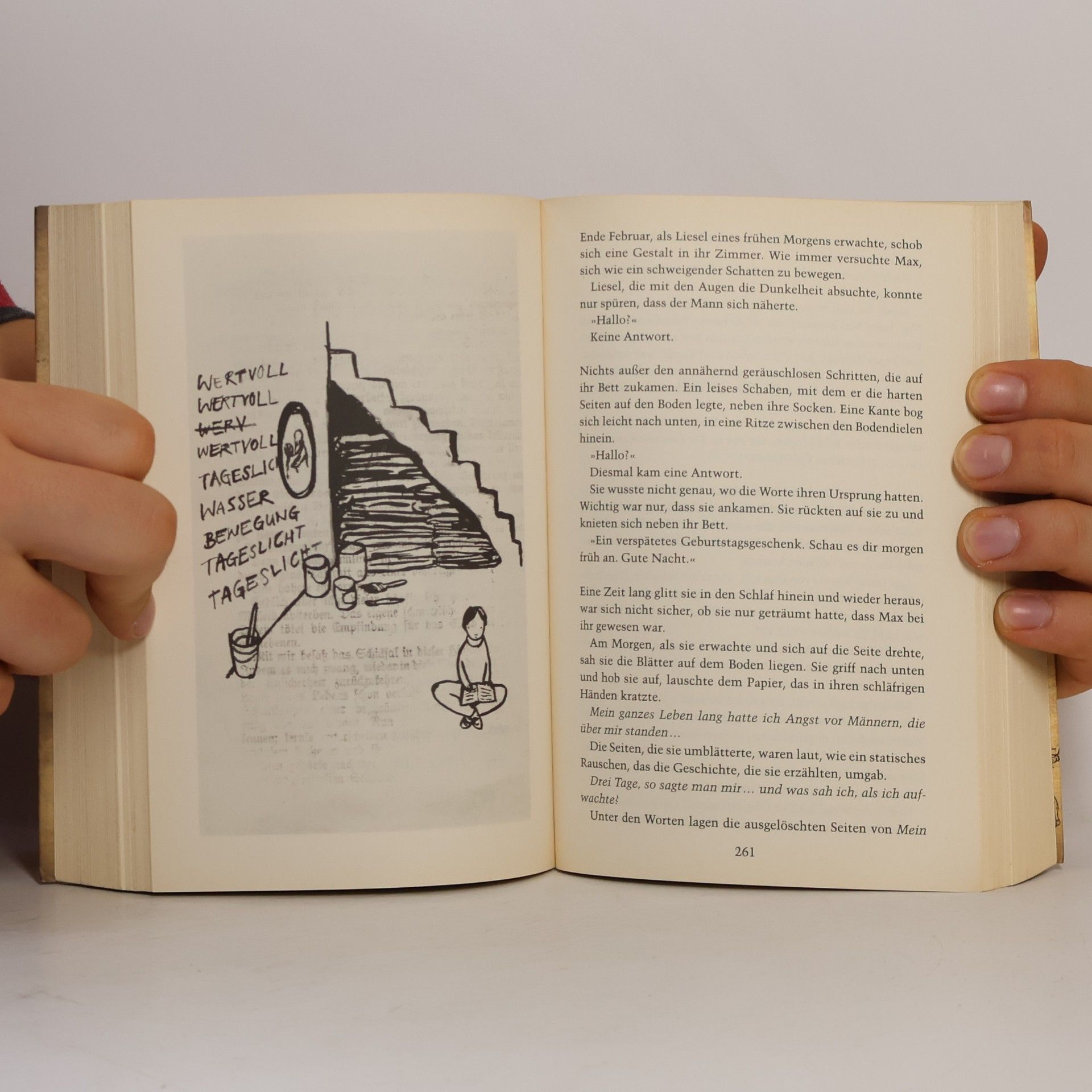 Markus Zusak Die Bücherdiebin: Roman