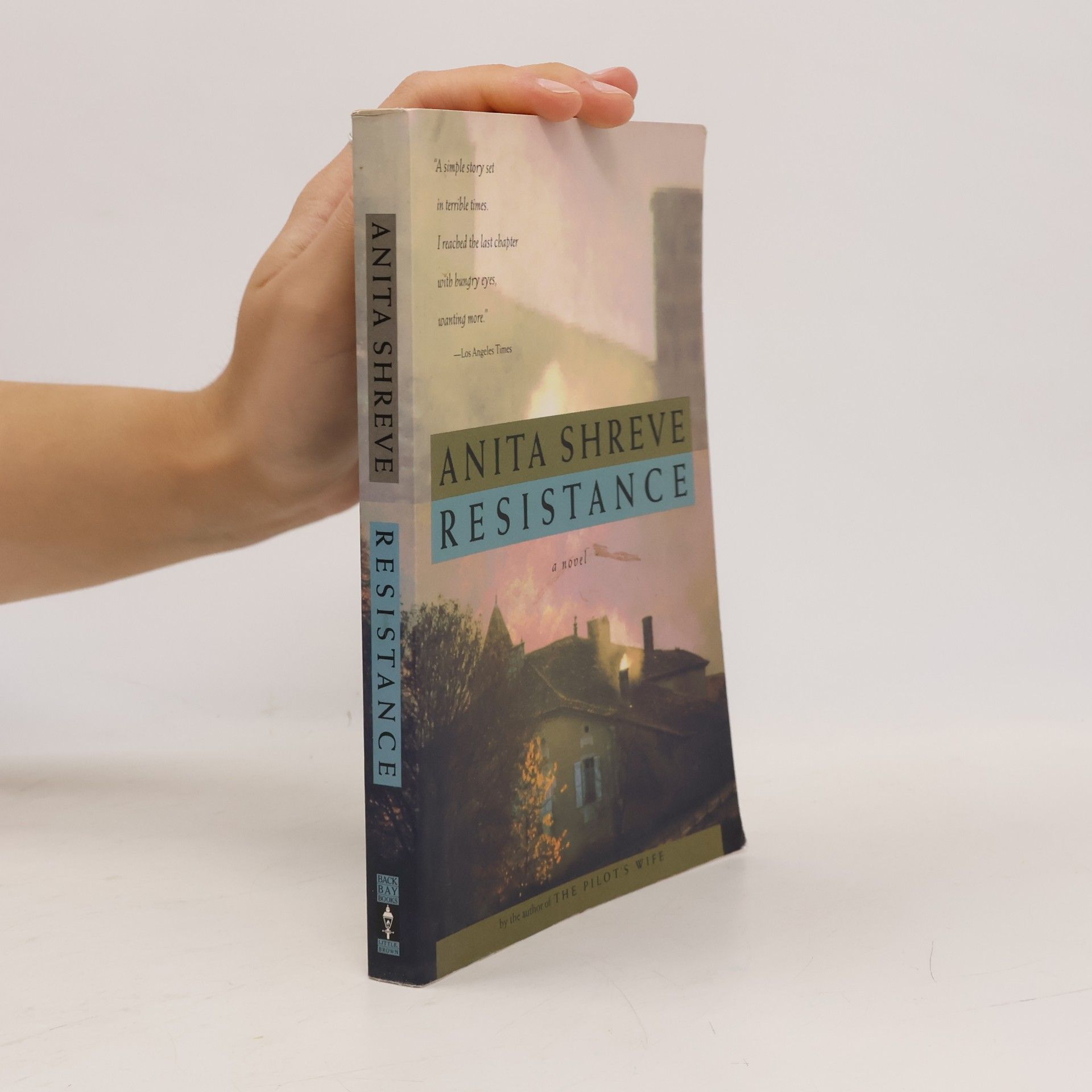 Anita Shreve Resistance