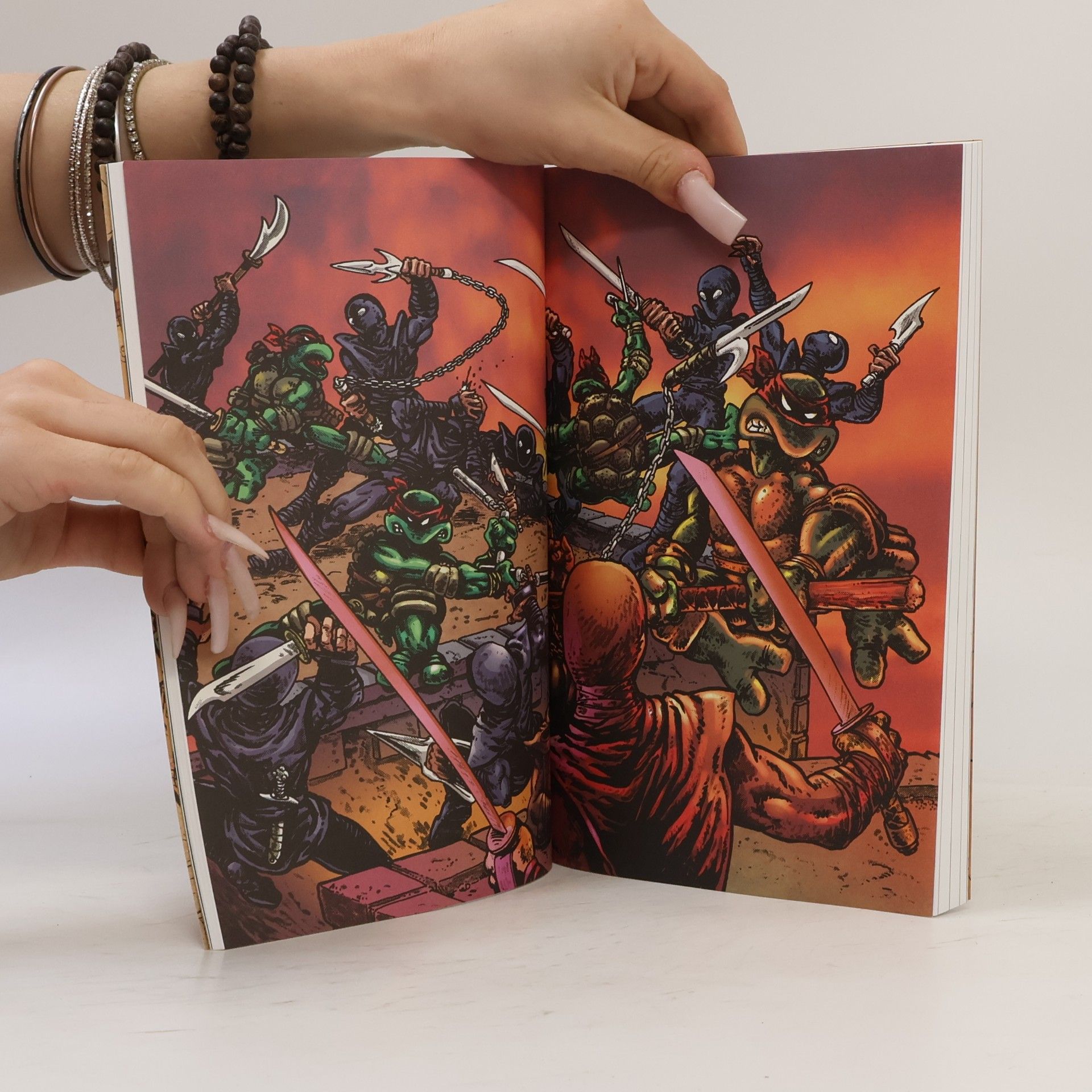 Kevin B. Eastman Želvy Ninja. Menu číslo 1