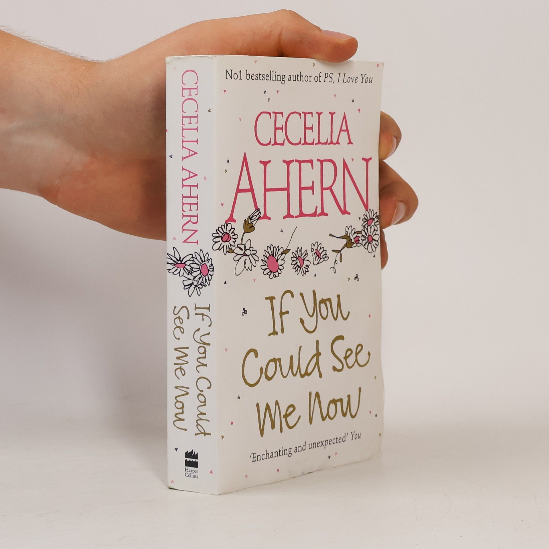 Cecelia Ahern If You Could See Me Now