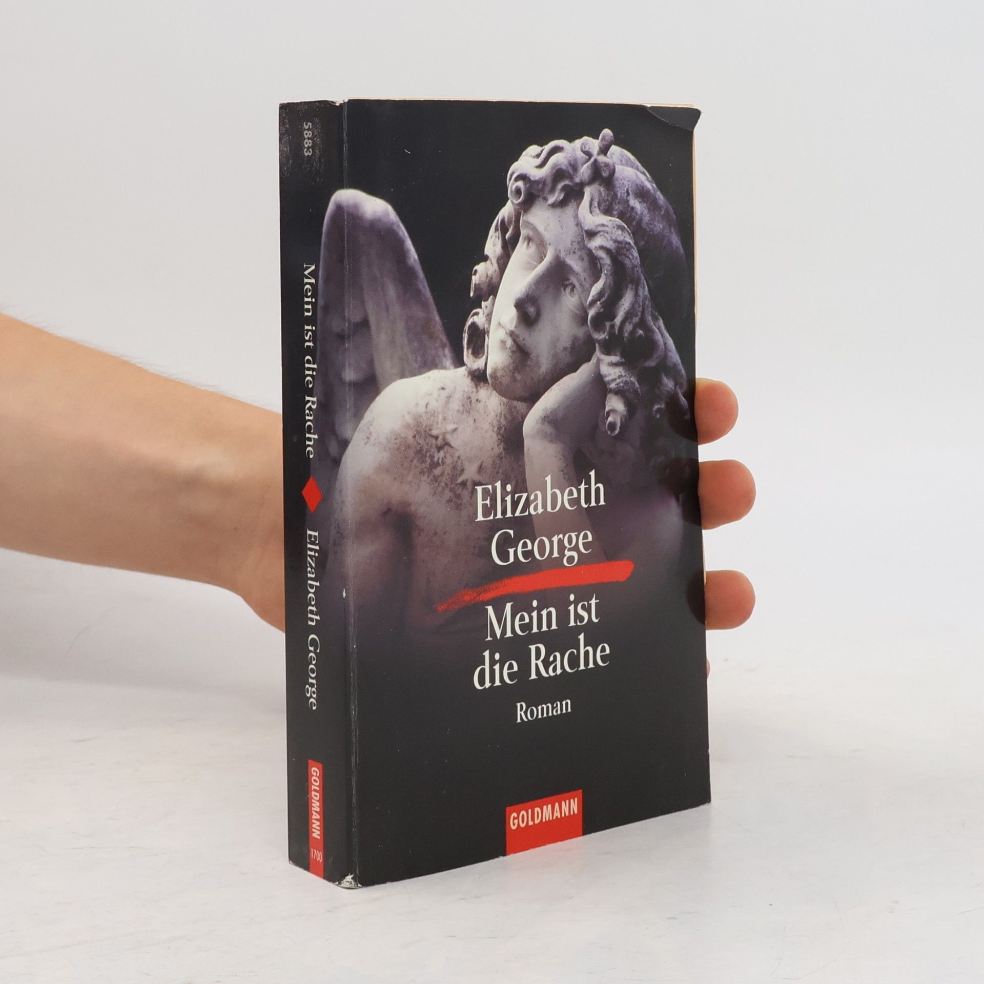 Elizabeth George Mein ist die Rache