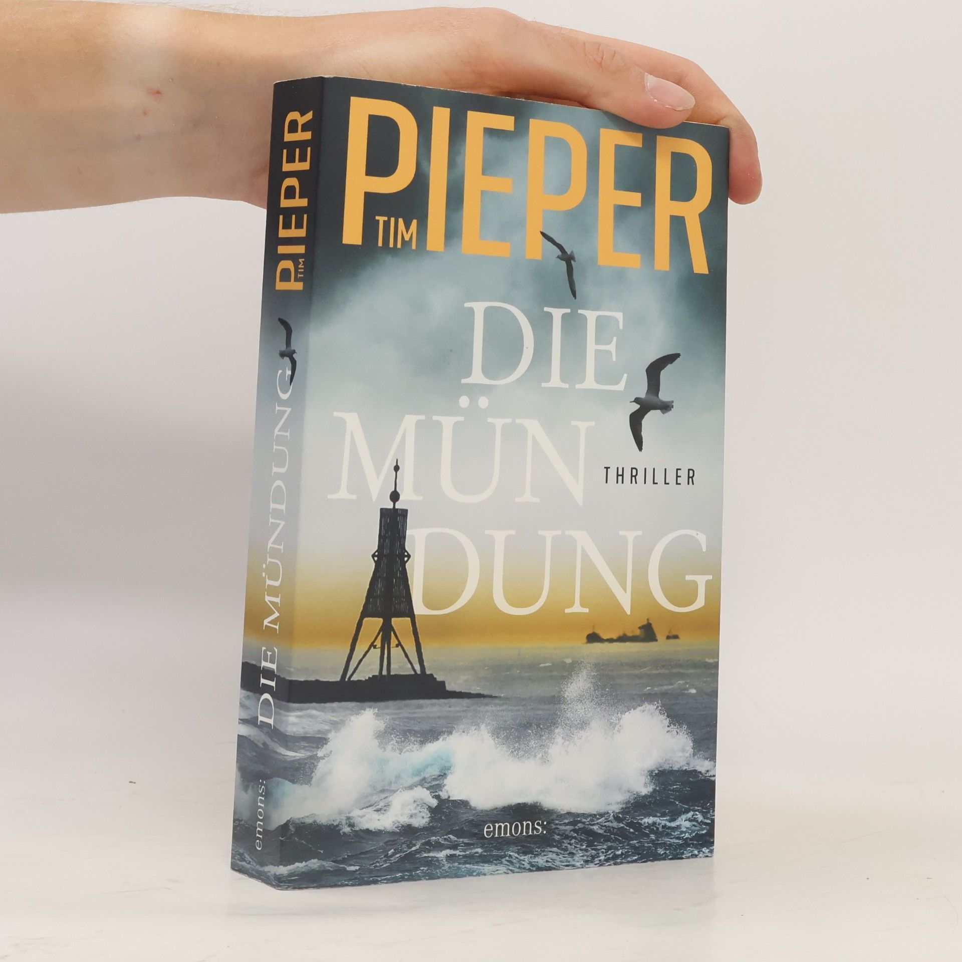 Tim Pieper Die Mündung
