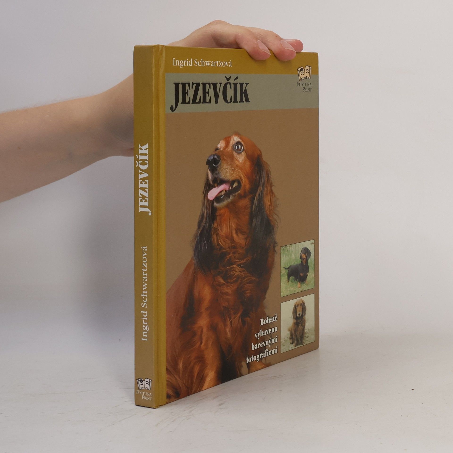 Ingrid Schwartz Jezevčík