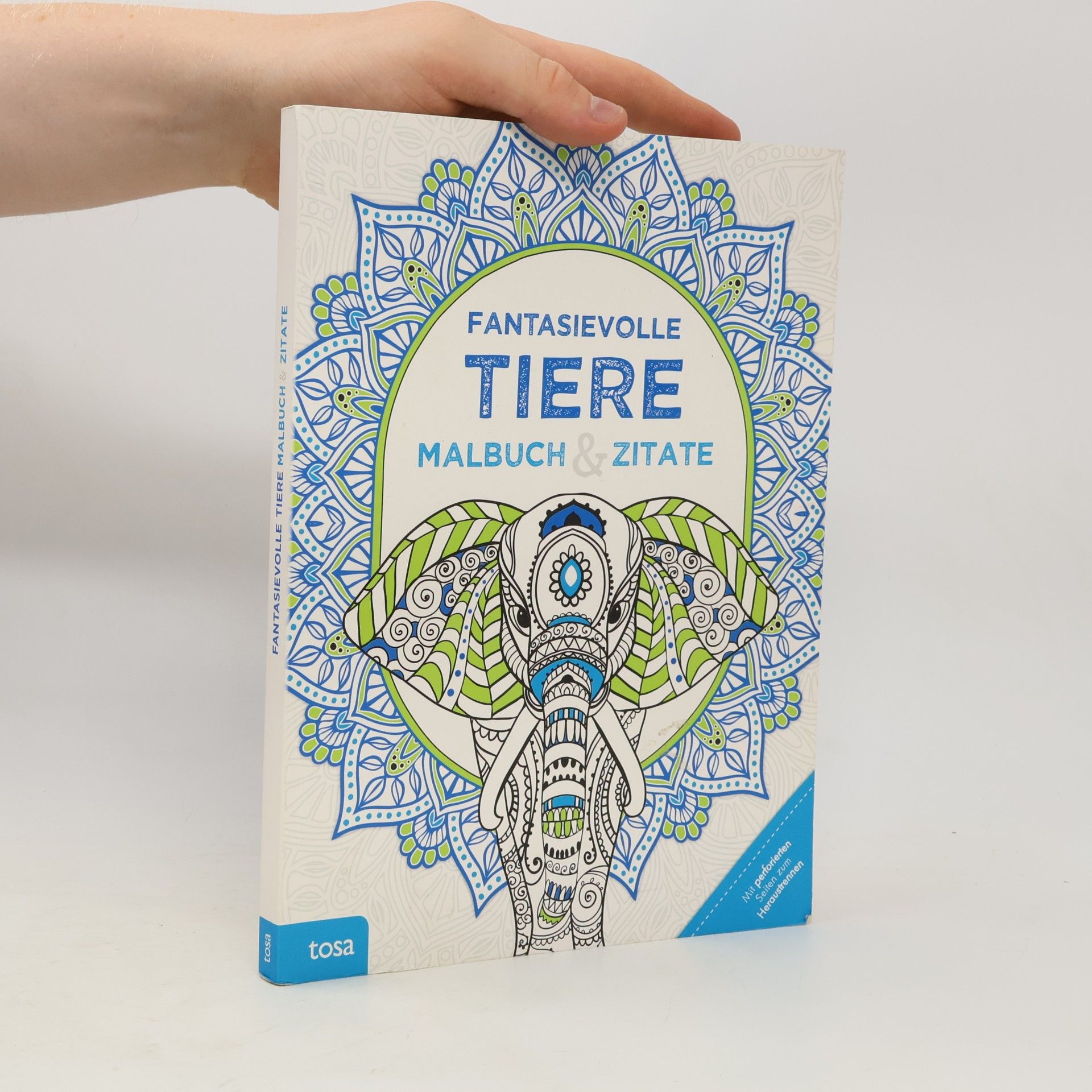 Autorenkollektiv Fantasievolle Tiere