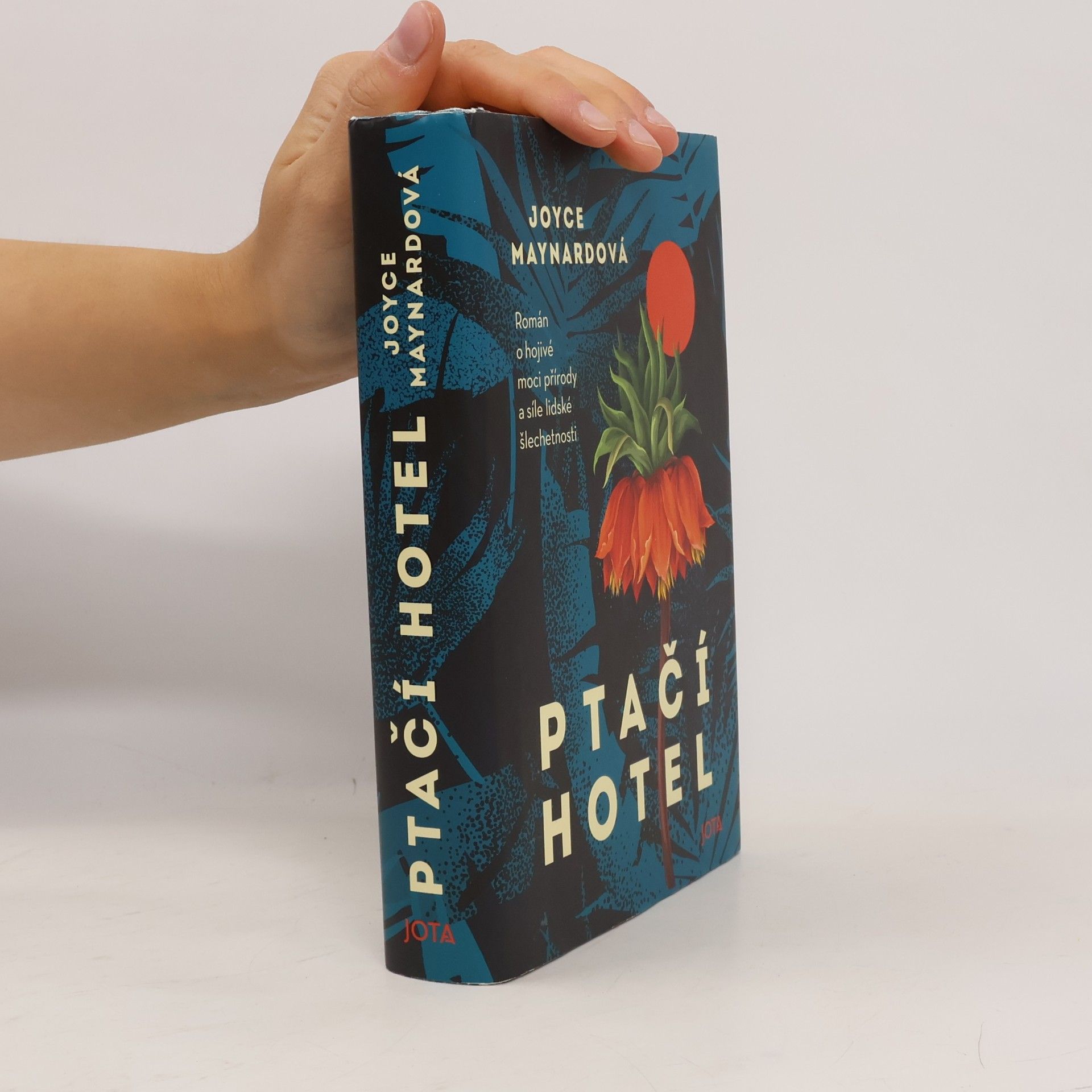 Joyce Maynard Ptačí hotel